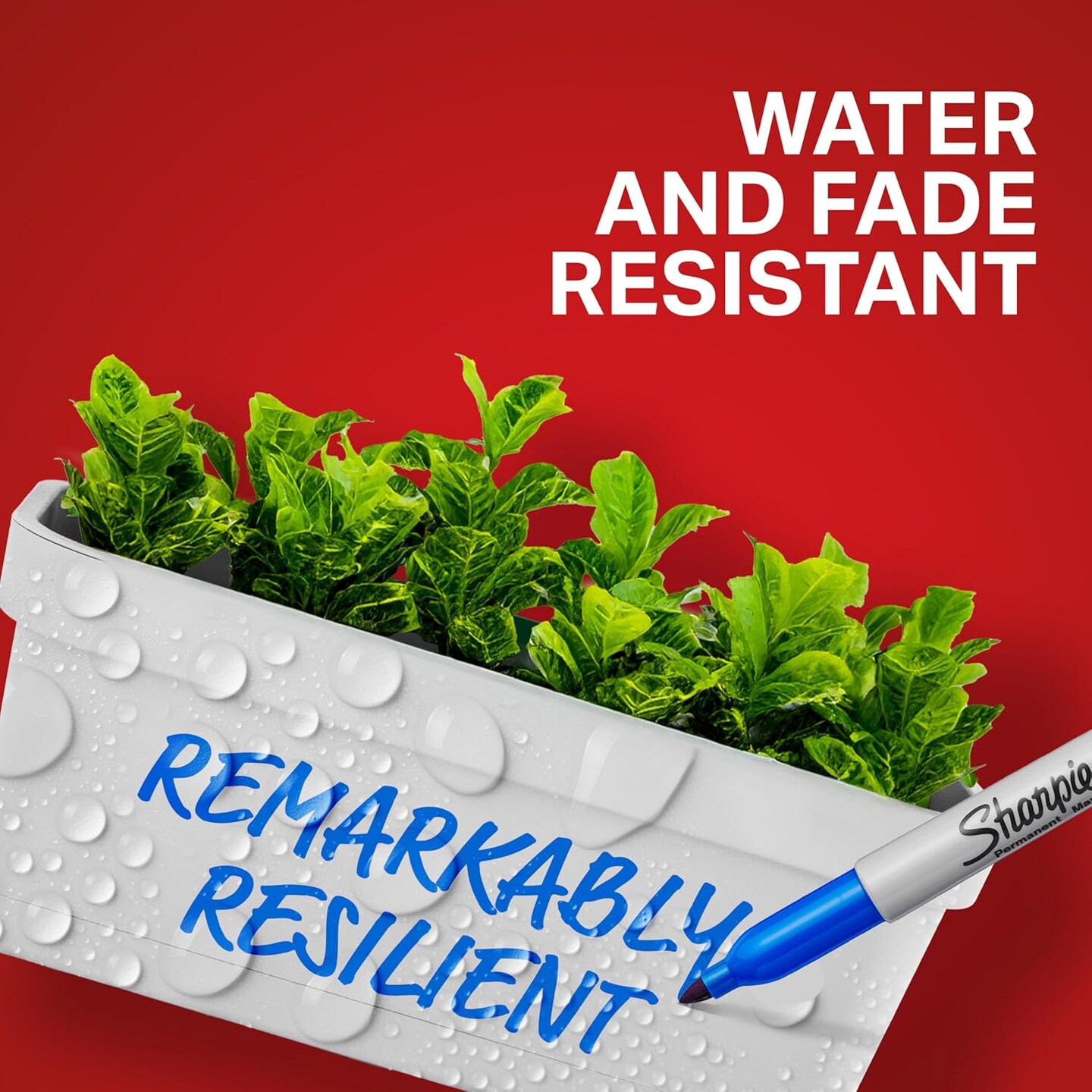 Permanent Markers, Quick Drying And Fade Resistant Fine Tip Marker Set For Wood, Plastic Paper, Metal, And More, Drawing, Coloring, And Poster Marker, Assorted Colors, 12 Count