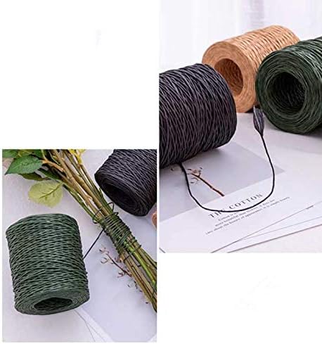 656 Feet Floral Wire,2mm Floral Bind Wire Wrap Twine,Paper Covered Wire Rustic Vine Wire for Floral Arrangements, Flower Crowns, Grapevine Wreath Making, Wedding Decorating, DIY Projects(Black)
