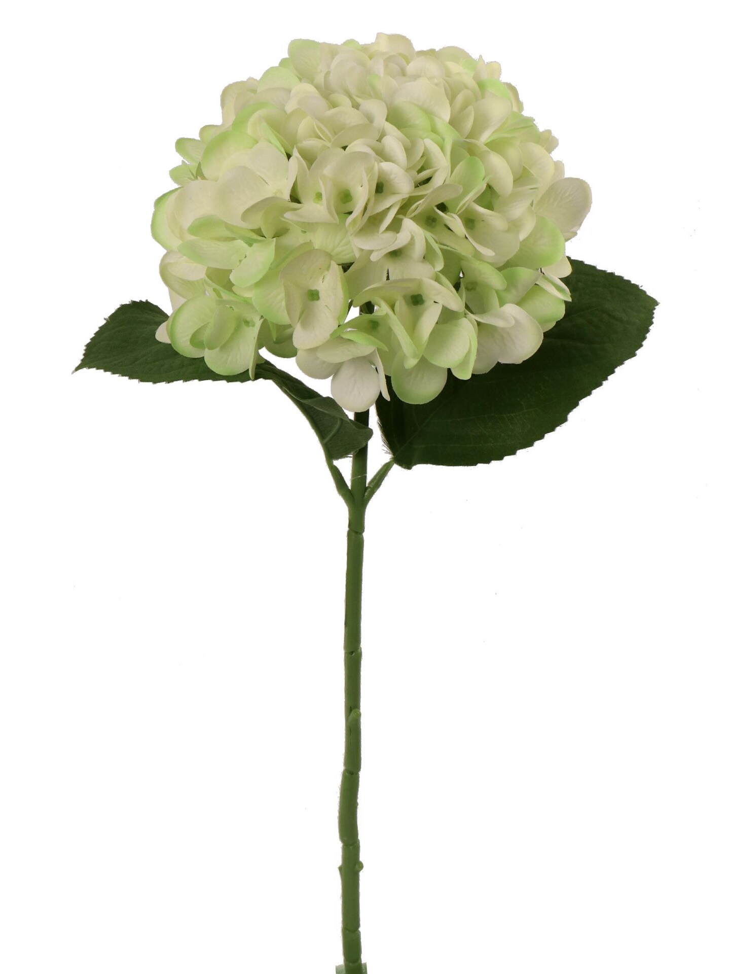 12PC Delicate 18-Inch Light Green Hydrangea Stem Set of 12 - Stunning 7-Inch Diameter - Perfect for Home Decor, Wedding Arrangements, and Special Occasion Floral Displays, Floral Home by Artificial Flowers