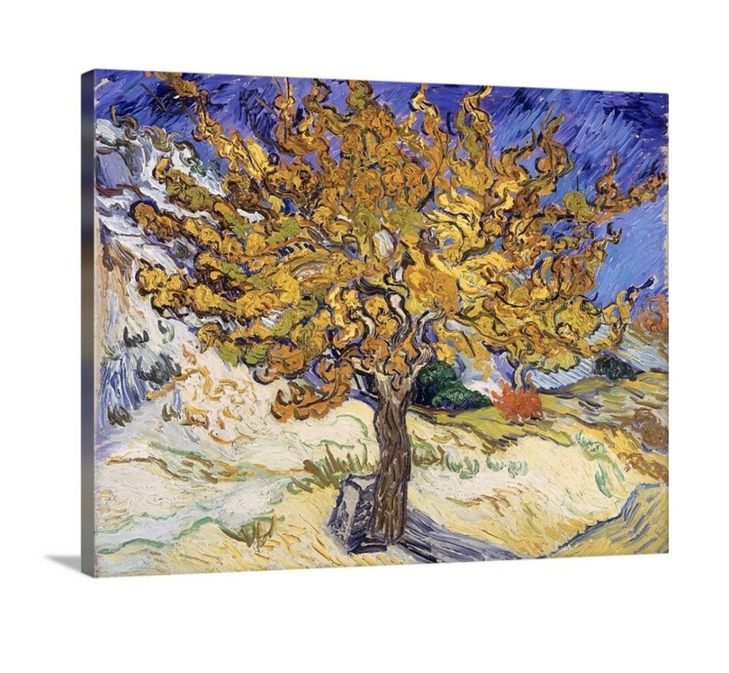 The Mulberry Tree by Vincent Van Gogh Framed Art