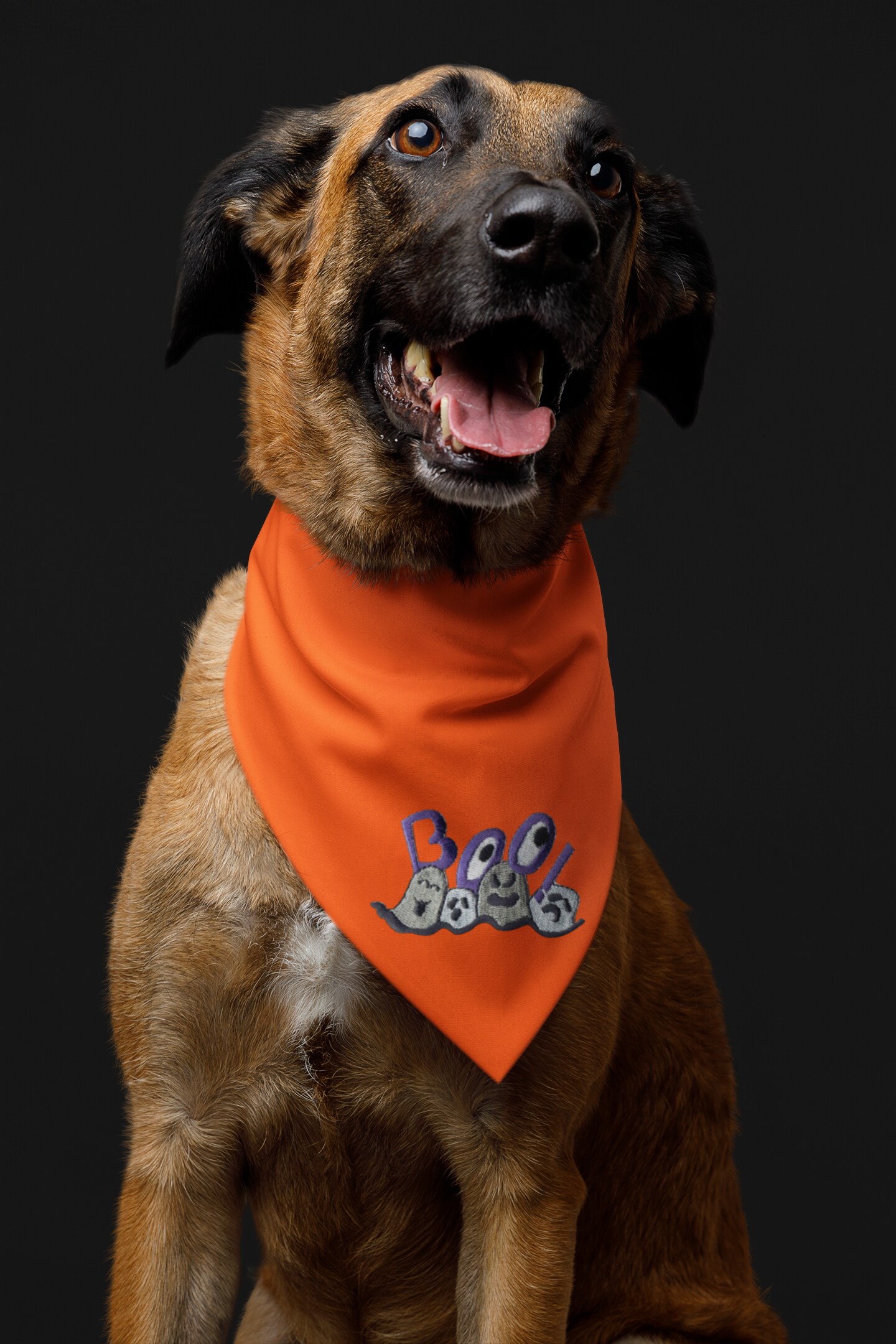 Purple Boo with Ghosts, Halloween, Embroidered, Iron on Patch