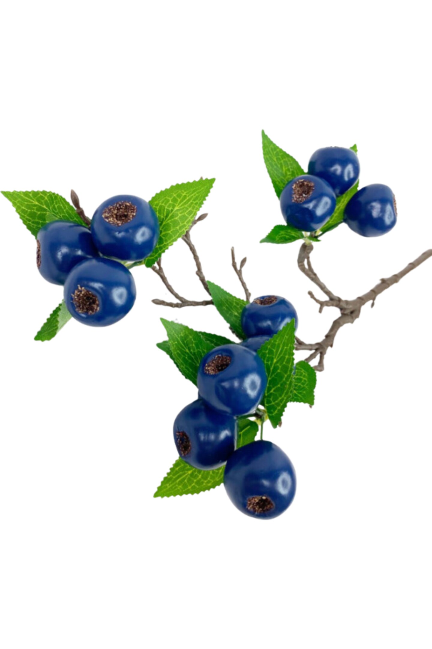 23&#x22; Blueberry Spray