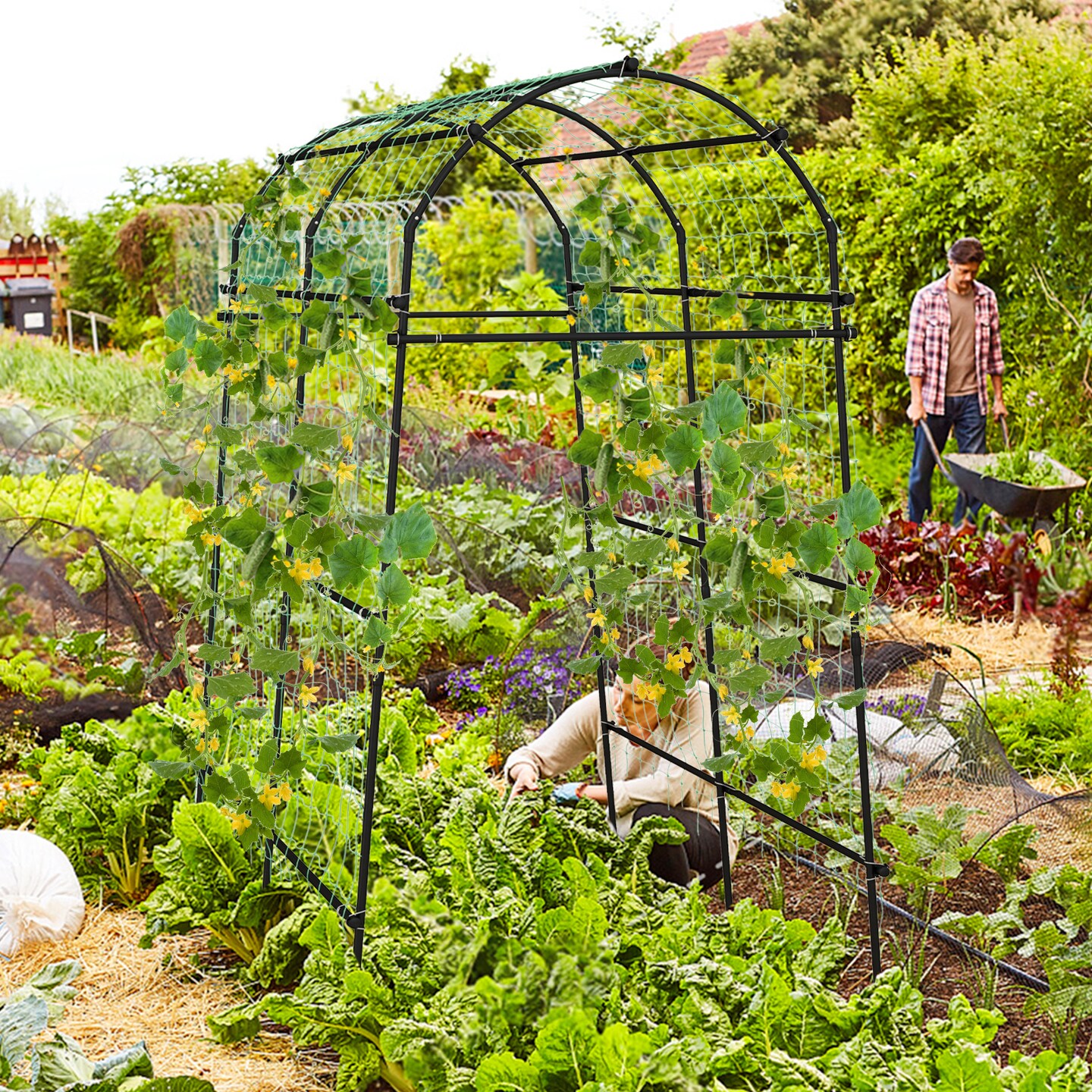 Garden Arch Trellis 7.5 Feet, PE Coated Metal for Climbing Plants