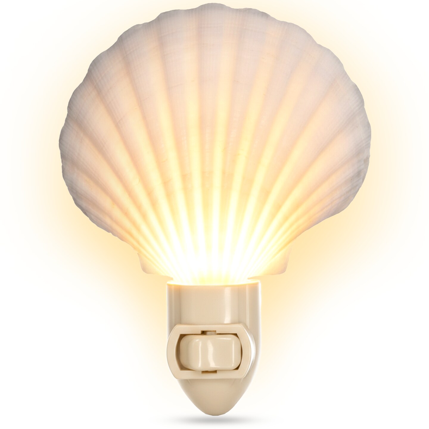 Seashell Night Light 1 piece White Clam Seashell Plug in Night