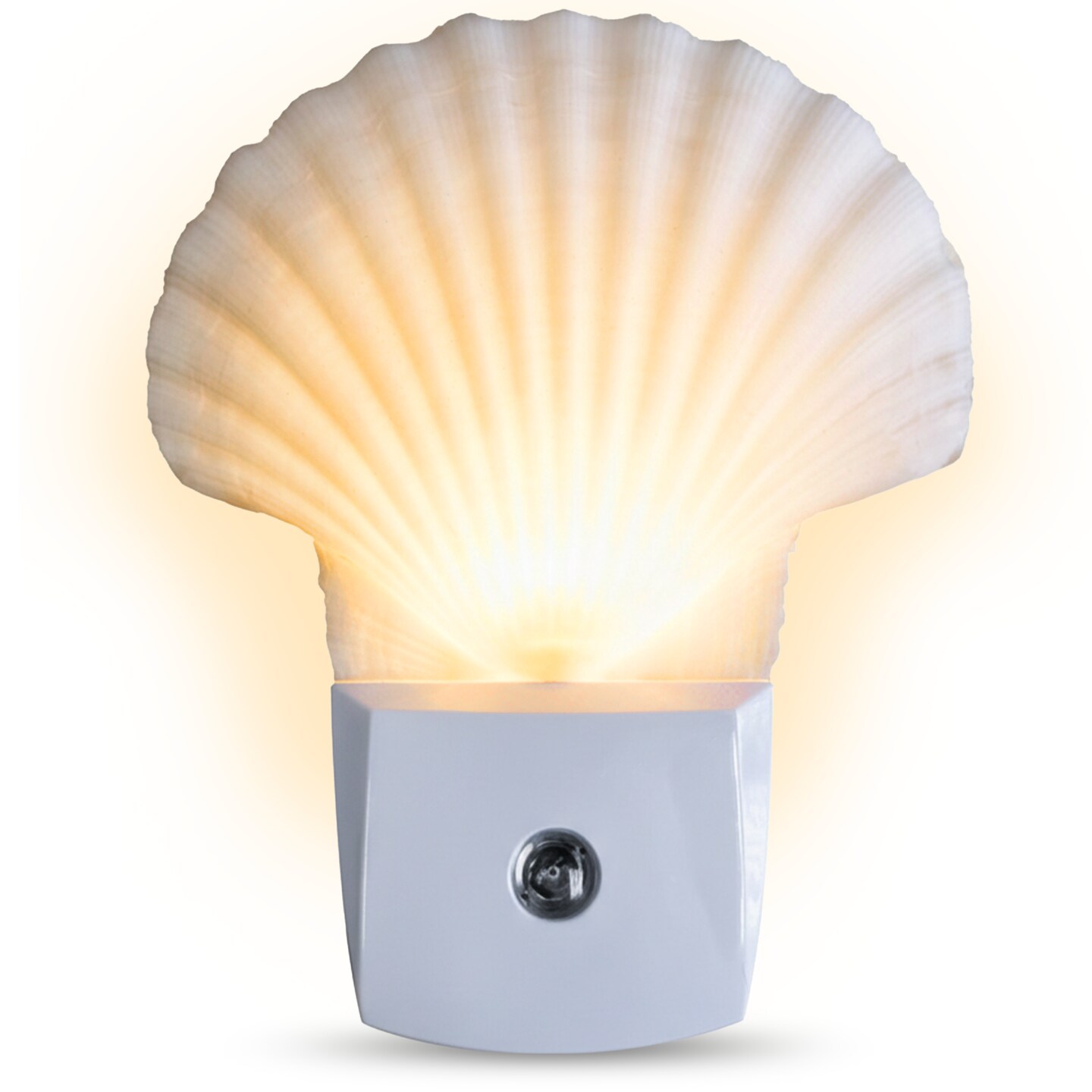 Sea Shell Light Auto Seashell Night Light 1 pc White Clam Sea