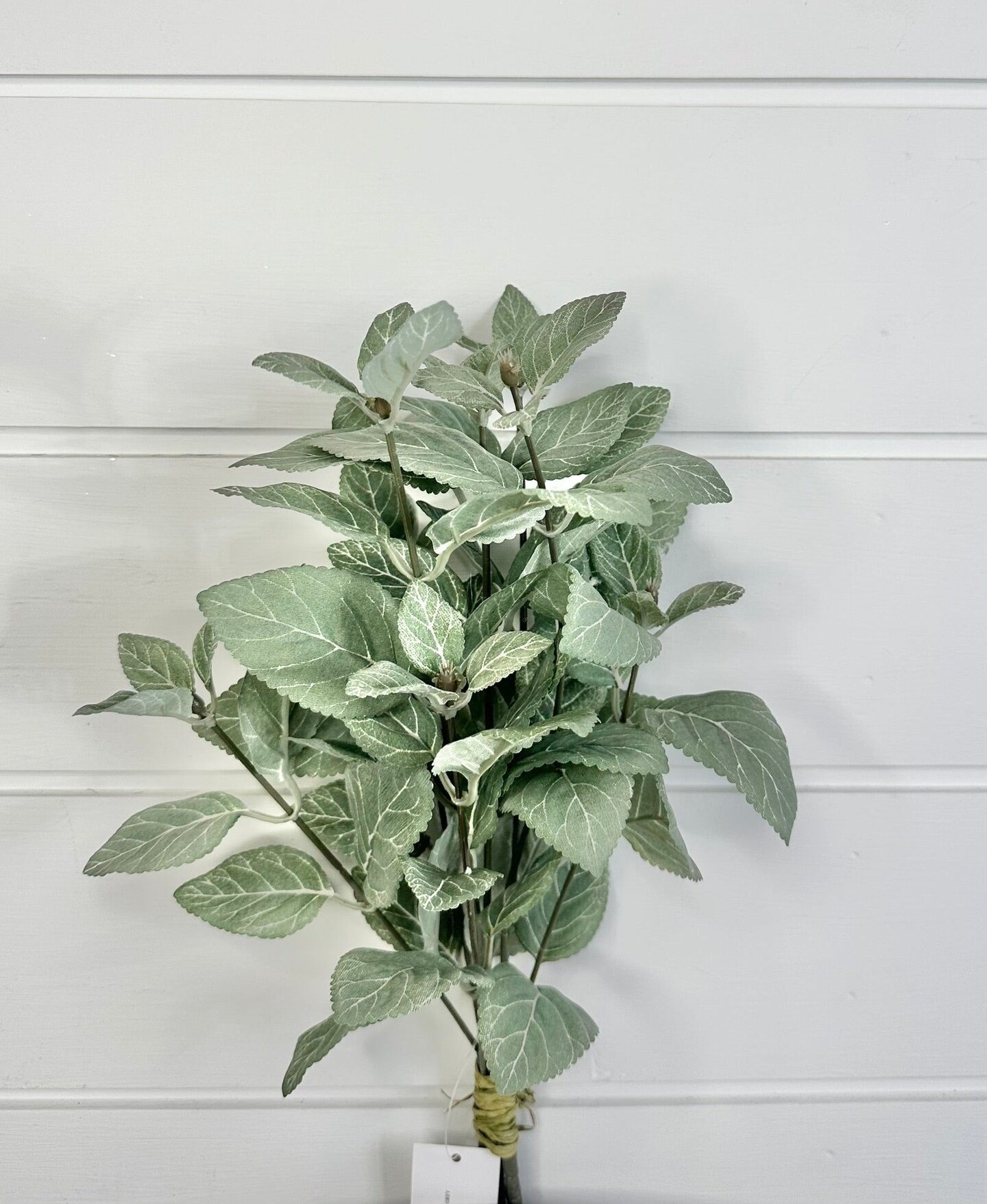 TCT Crafts 17-Inch Artificial Sage Bundle - Craft and Home Decor Supply with 3 Lifelike Sage Stems - Artificial Greenery for Arrangements-FL4043-GY