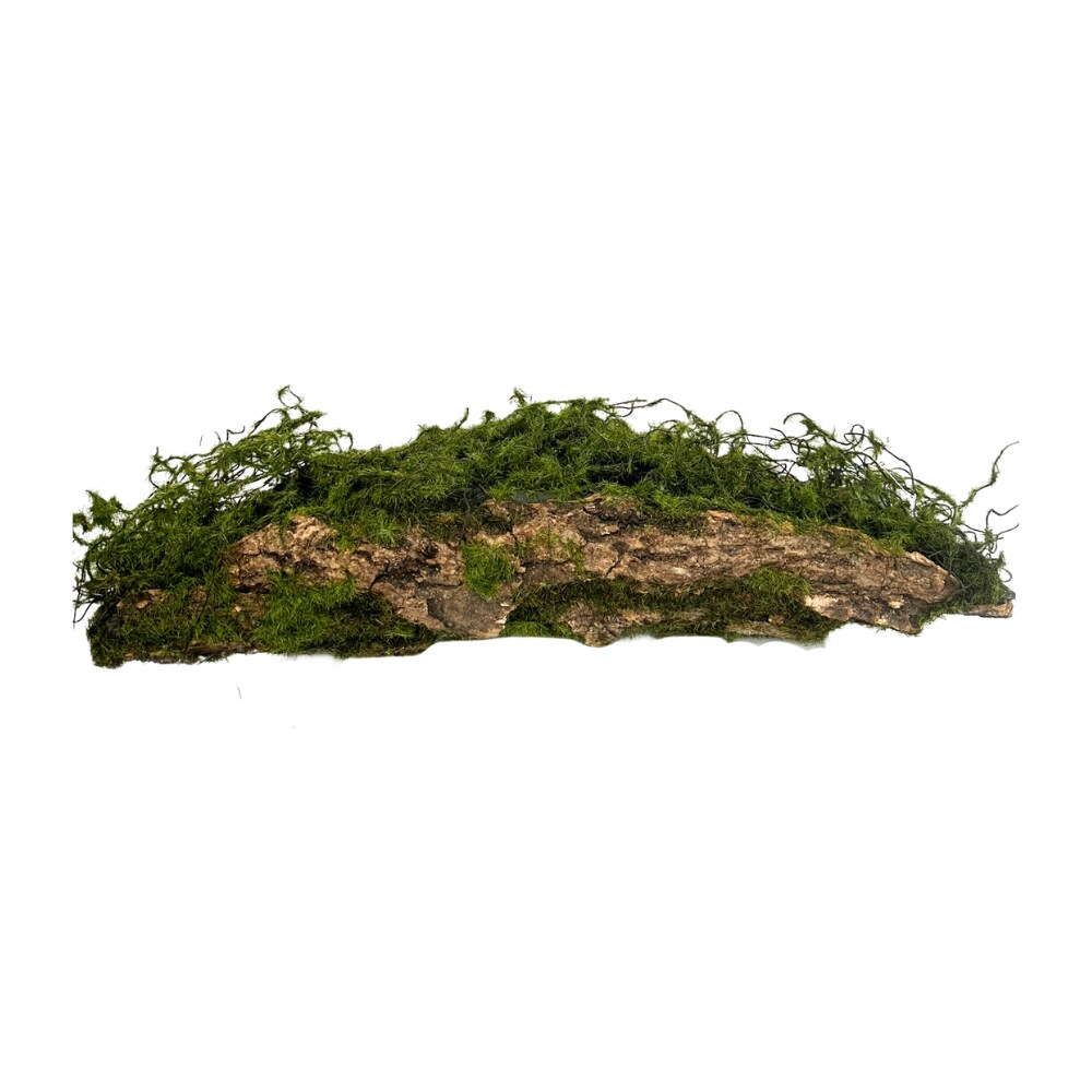 18&#x22; Small Tree Fern Bark Floral Arrangement Container - Dark Brown/Green (S1496/S)