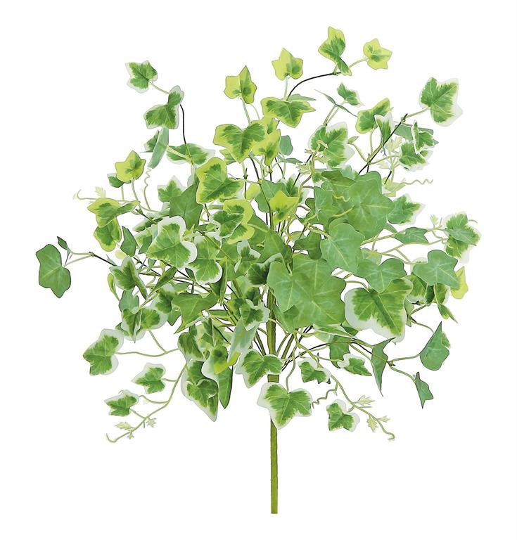 8&#x22; Artificial Green/Cream Cottage Ivy Bush- Greenery Accent for Decor - Perfect for DIY Arrangements and Centerpieces-(PM3024-GC)
