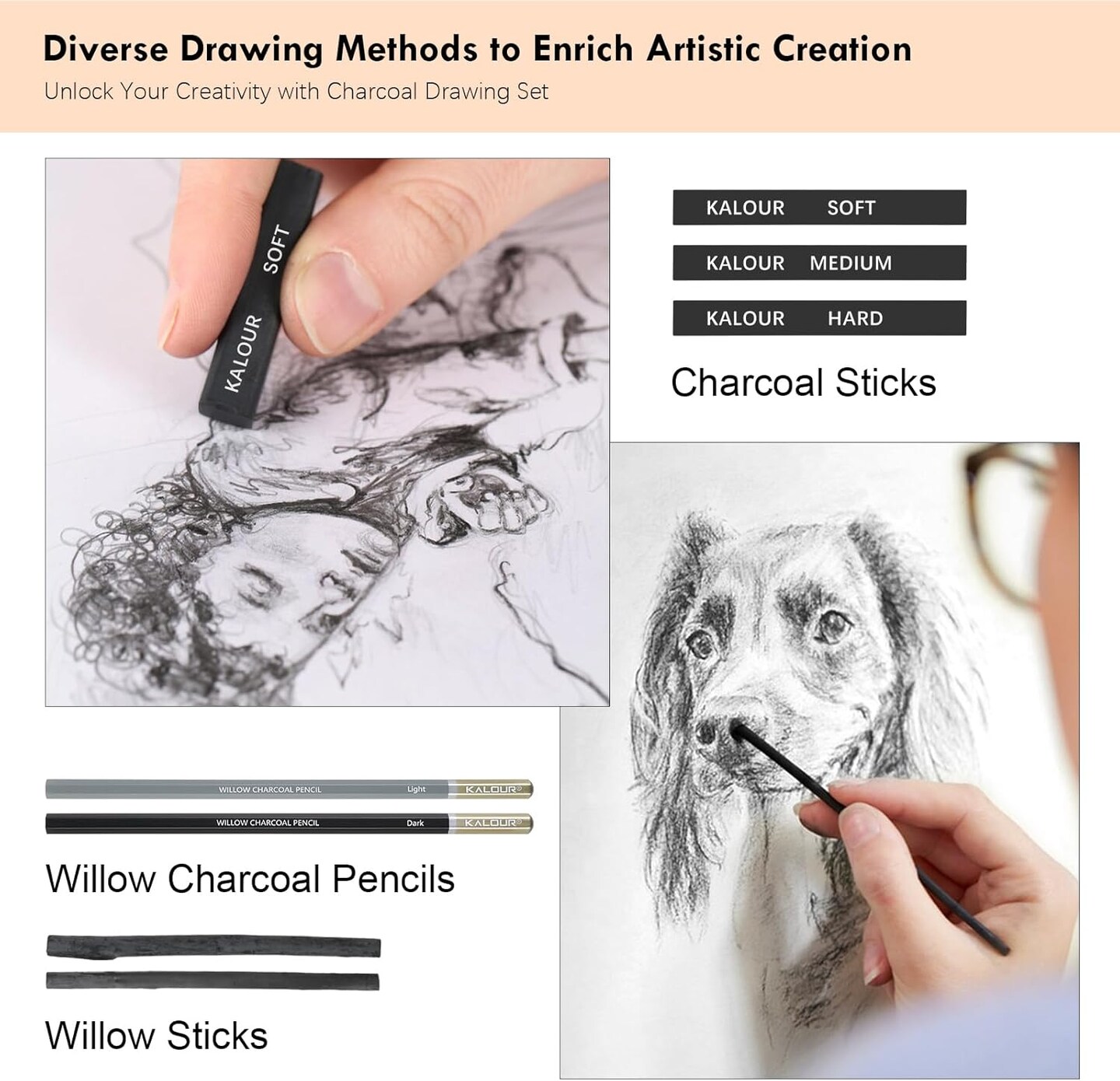 22pcs Charcoal Drawing Set, Professional Art Supplies, Black & White Charcoal