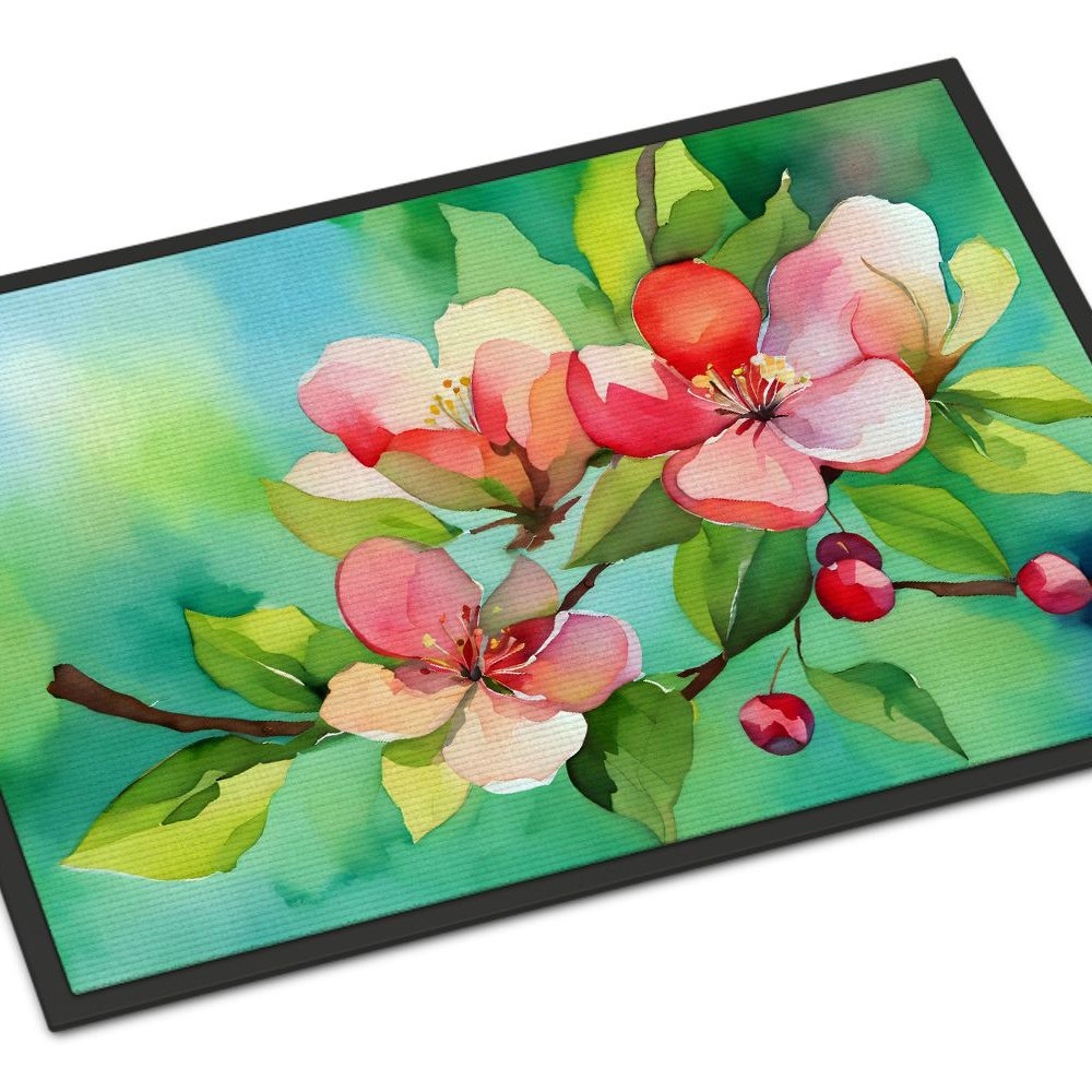 Edge Collections - 18" x 27" - Multicolor - Arkansas Apple Blossom Doormat Indoor Outdoor - 1 Piece