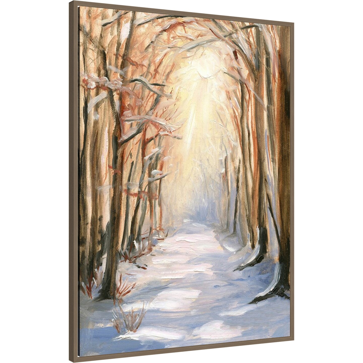 Path in Winter by Sandra Iafrate Framed