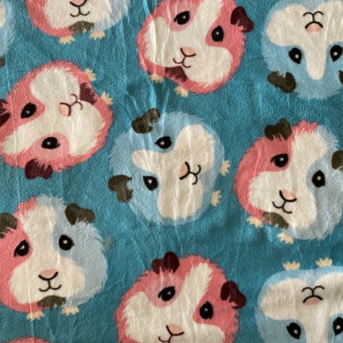 Guinea Pigs Blue Anti-Pill Premium Fleece Fabric | By The Yard