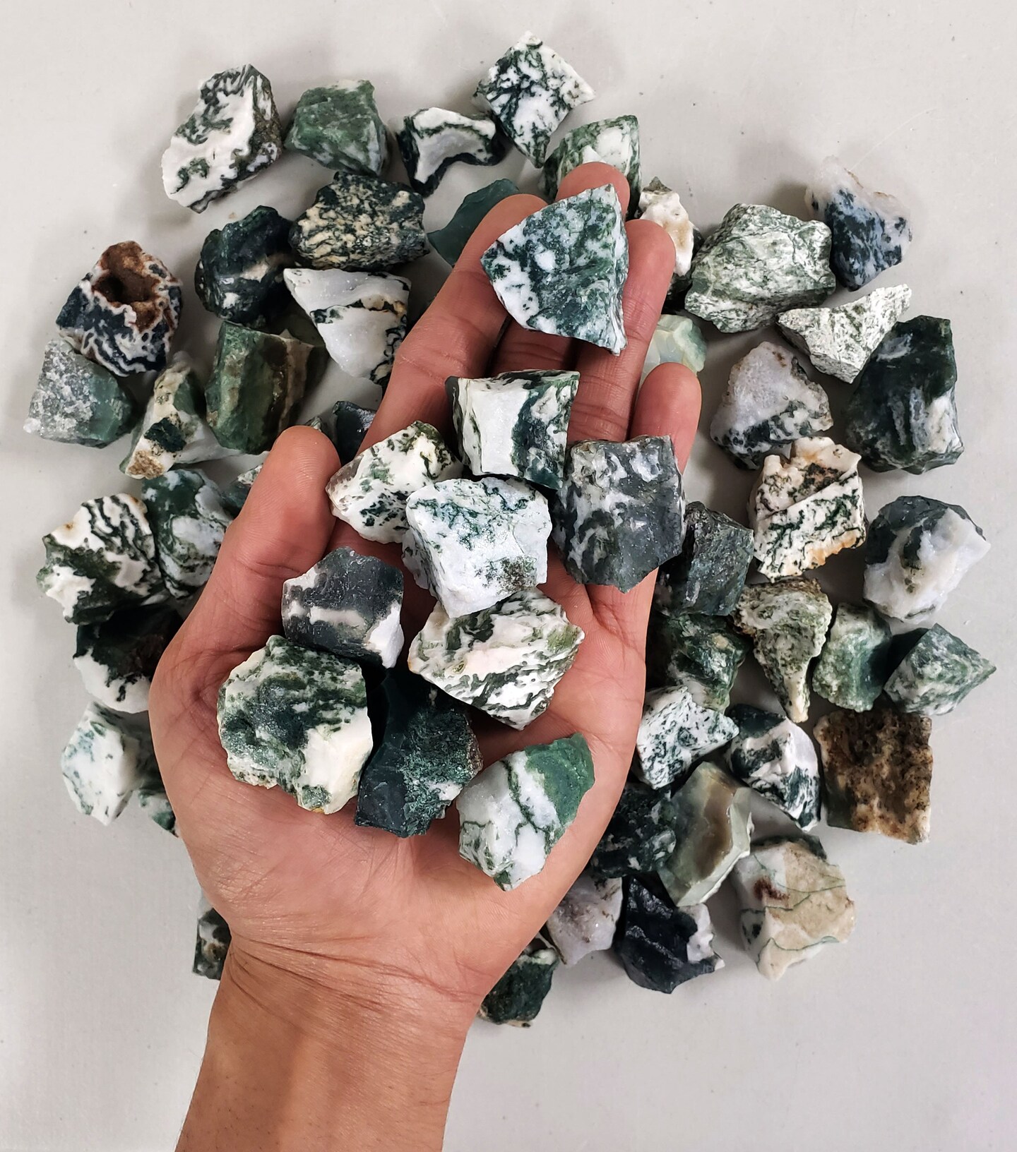 Tree Agate Crystal Stones - Rough Stones Bulk