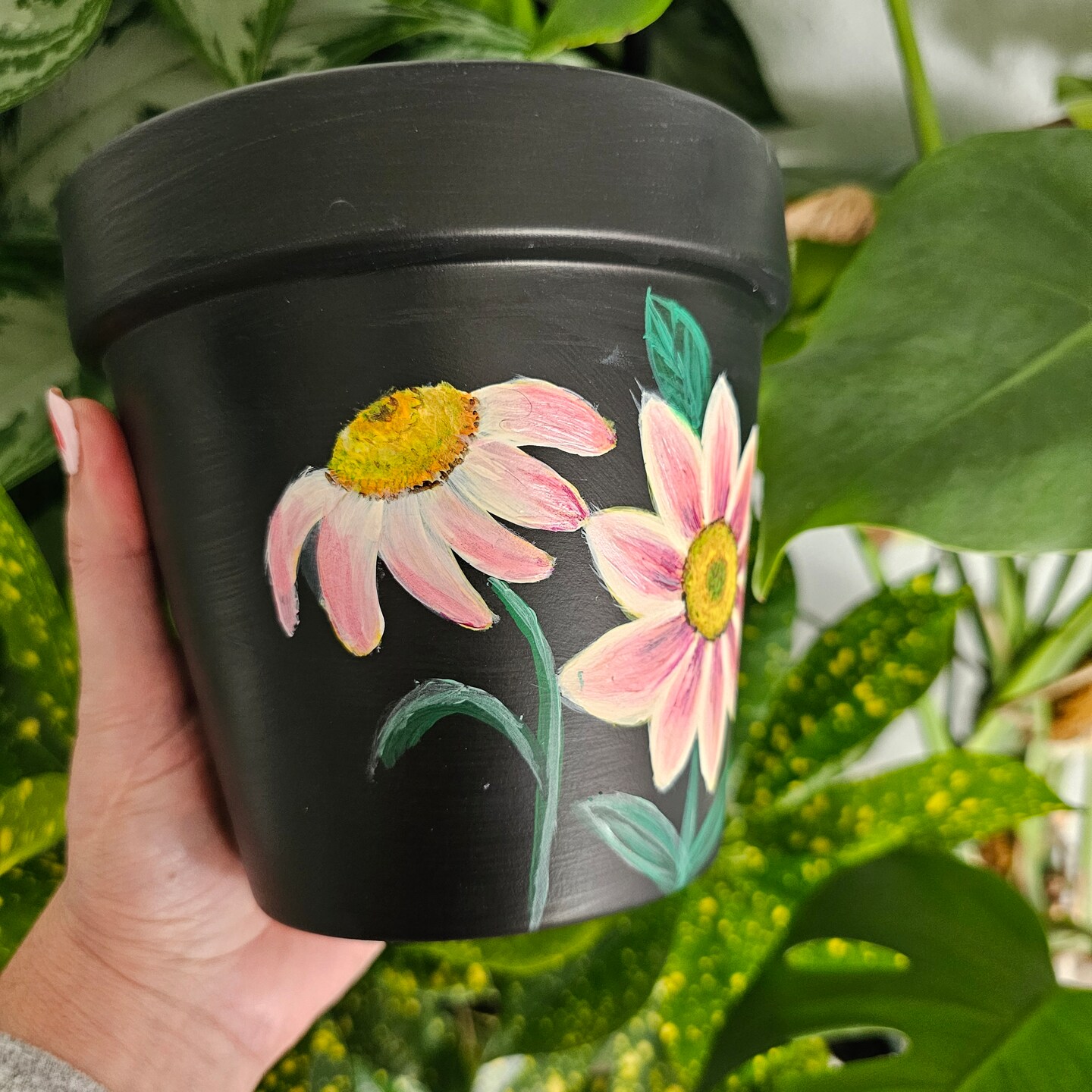 Pink Daisy Flower hand painted on a black terra cotta Pot. 6 inches terra  cotta flower pots for plants | MakerPlace by Michaels