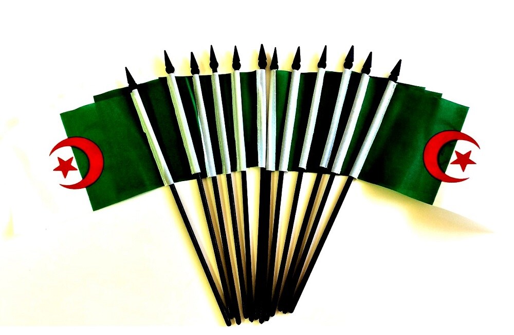 Pack of 12 Algeria Mini Flags – 4"x6" Polyester Desk & Hand Waving Set