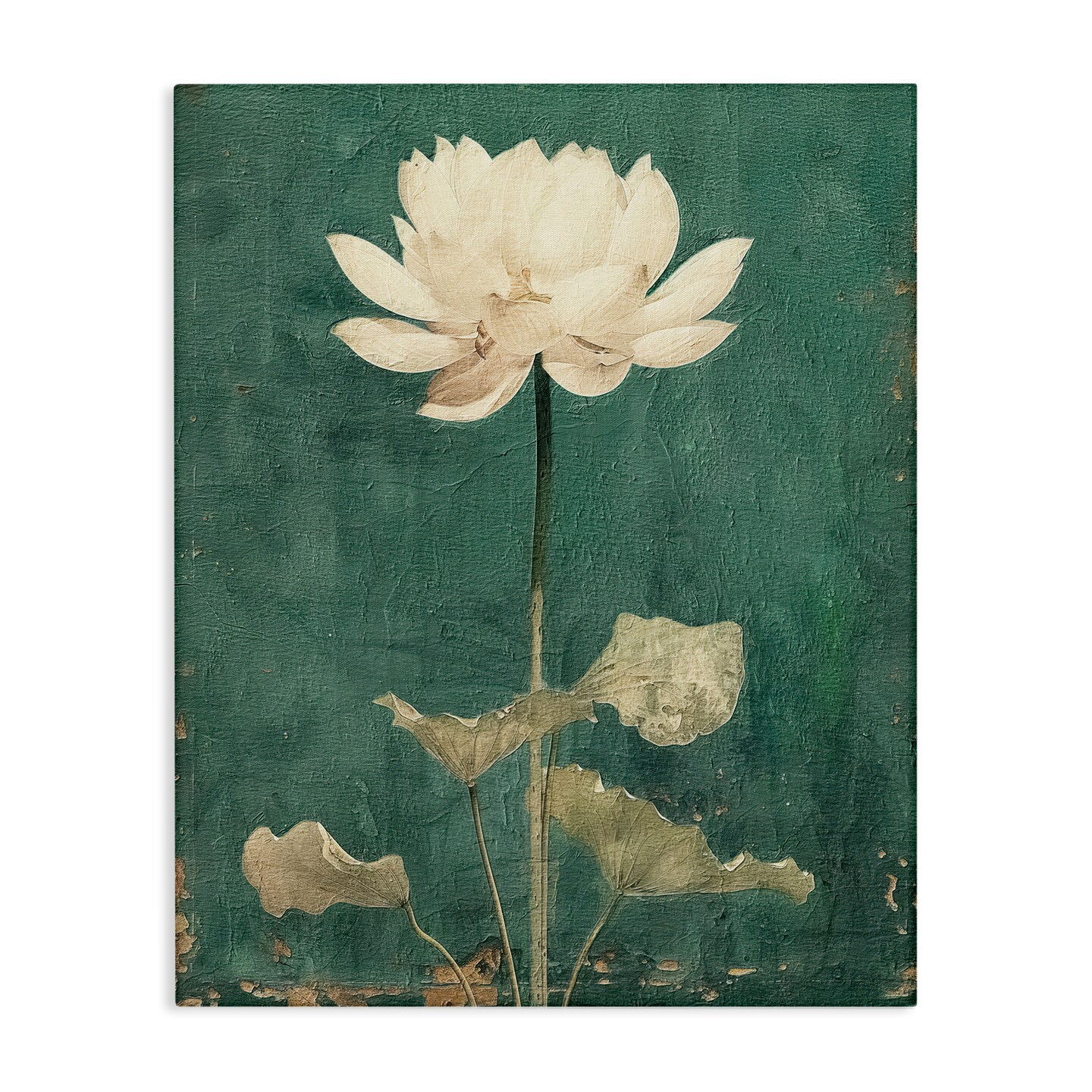 Stupell Industries Vintage Floral Bud Canvas Wall Art Design by RileyB