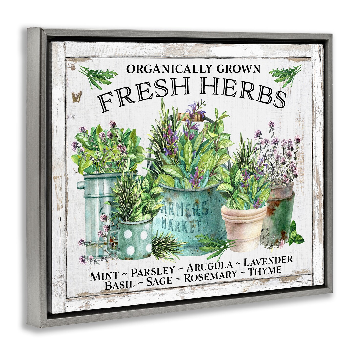 Stupell Industries Organic Fresh Herbs Floater Framed Canvas Wall Art Design by Creatif Belle