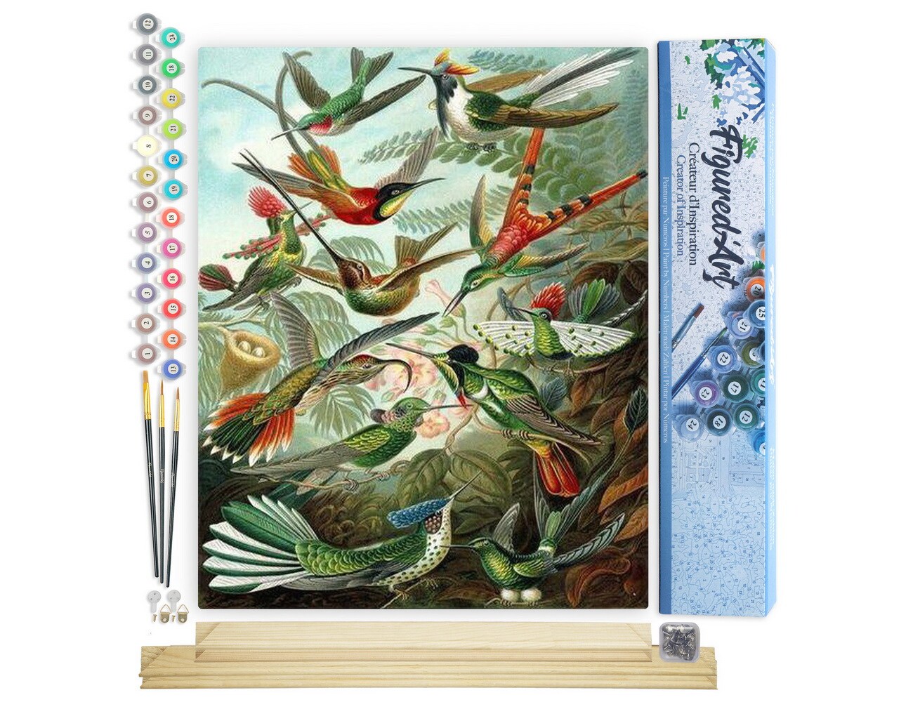 Figured'Art Paint by Numbers Kit for Adults All the Birds 16"x20" - Craft Art Painting Rolled Canvas with DIY wooden frame