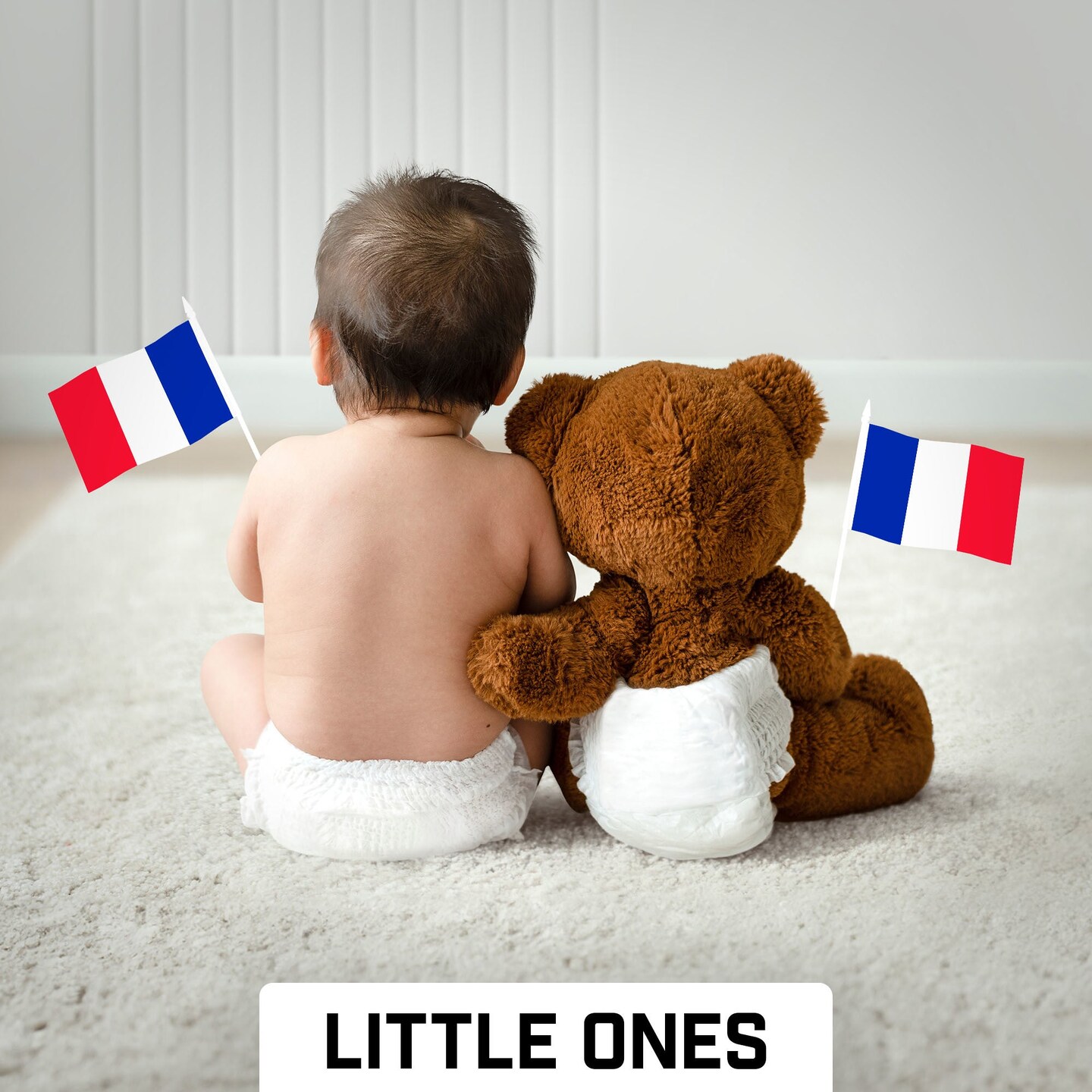 G128 12 Pack Handheld France French Stick Flags | 4x6 In | Printed 150D Polyester, Country Flag, Solid Plastic Stick, Spear White Tip