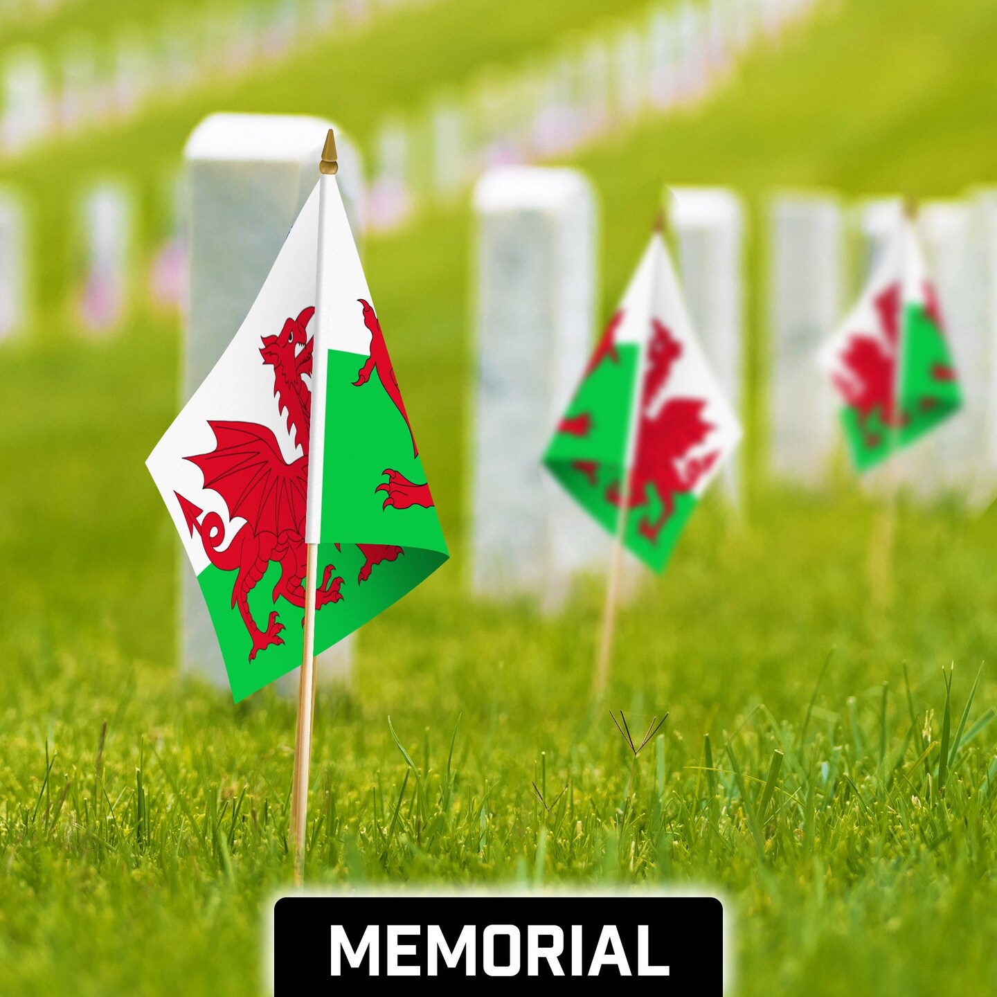 G128 24 Pack Handheld Wales Welsh Stick Flags | 12x18 In | Printed 150D Polyester, Country Flag, Solid Wooden Stick, Spear Gold Tip