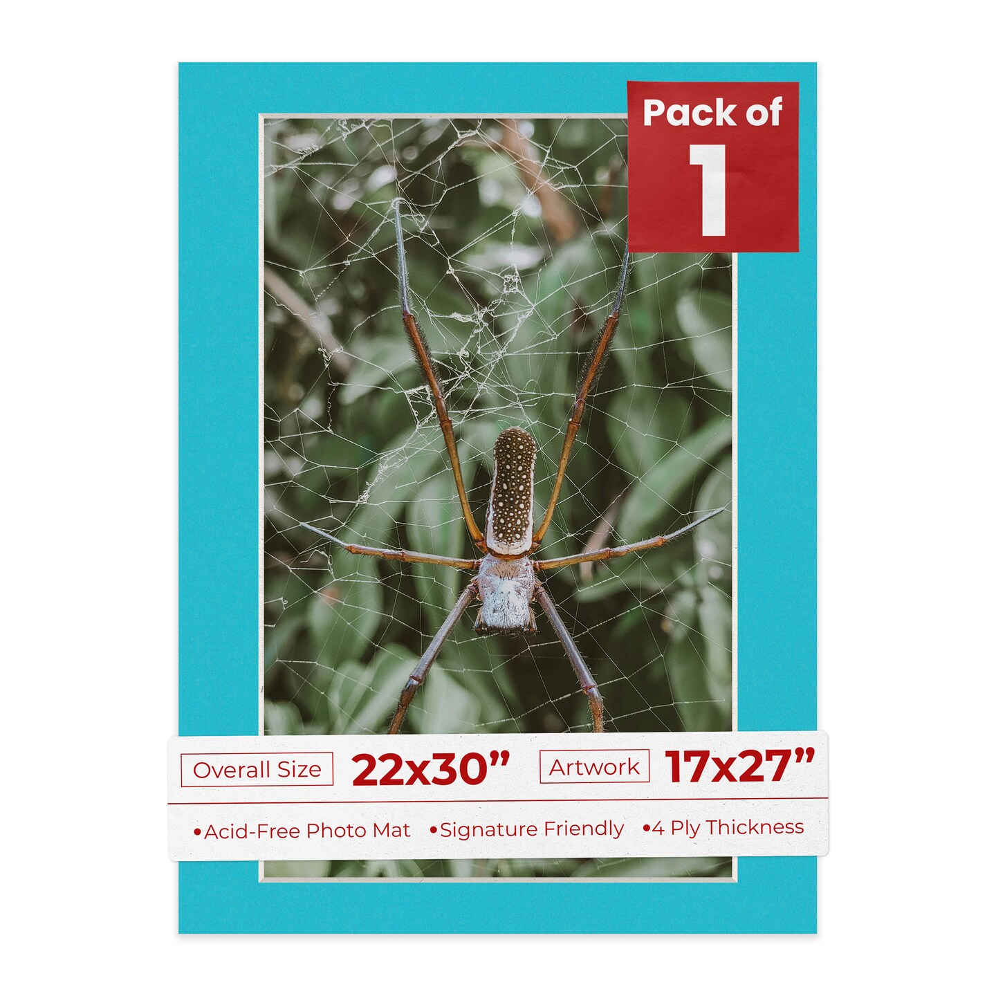 Aquamarine Blue Mat Board for 22x30 Frames - Fits 17x27 Photos
