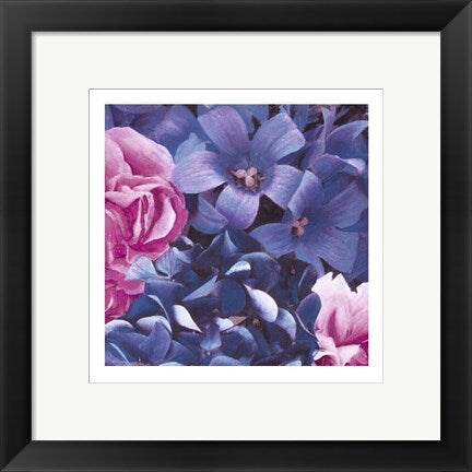 Framed Art Pink and Blue Flowers by Jenny Dreifuss: Vibrant Floral for Home Décor | 11.75 x 11.75