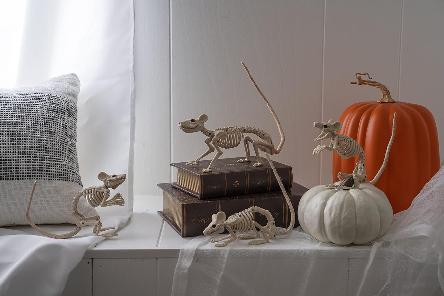 Creepy Skeleton Rat Prop Perfect