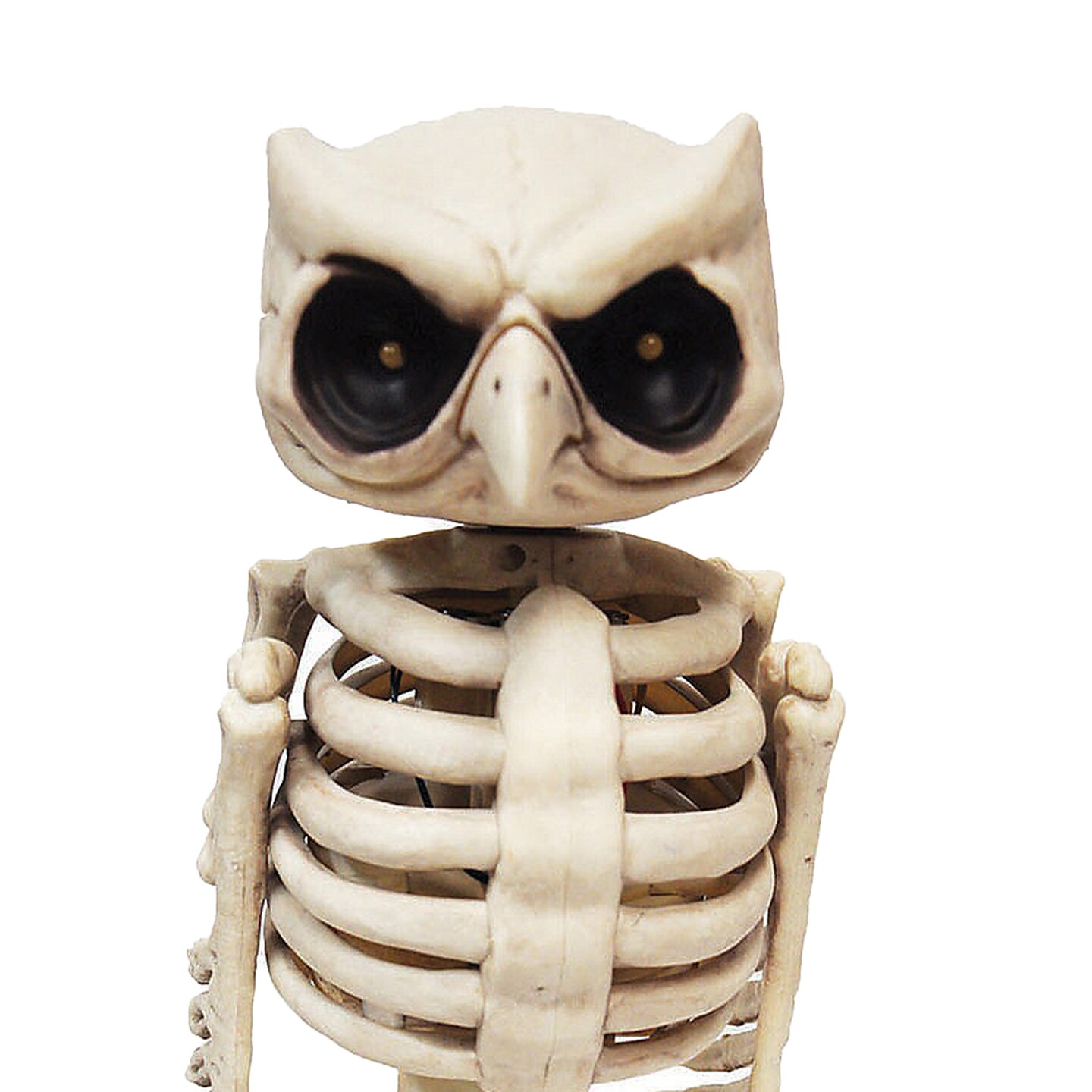 Owl Skeleton Decoration 13.5 inches Tall