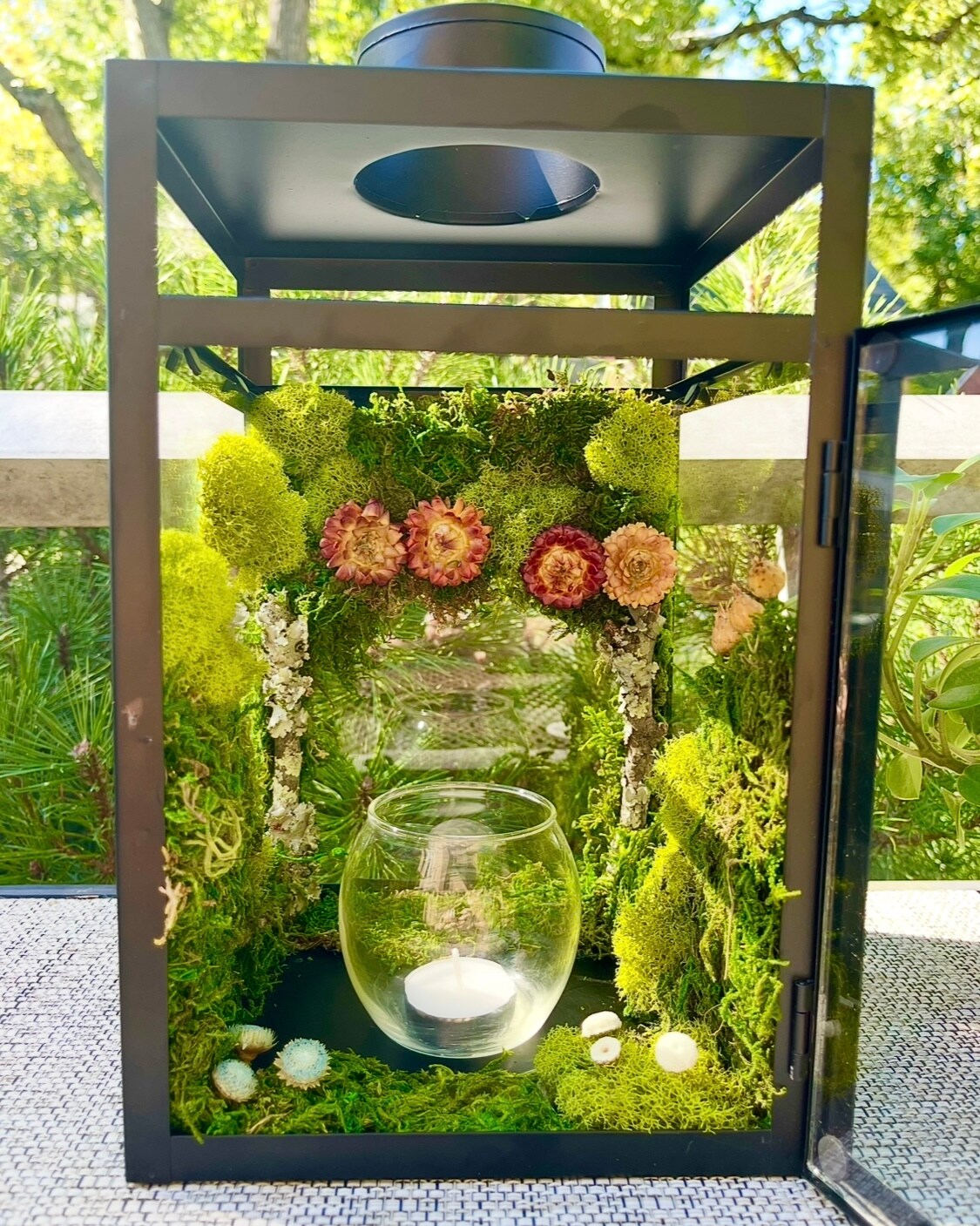 Moss Terrarium Decorative Candle Lantern, Fairy Garden Nature