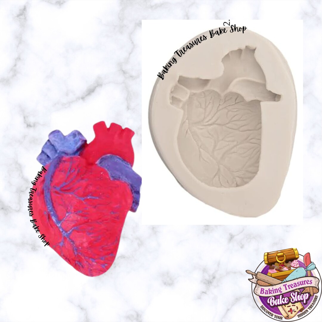 Anatomical Human Heart Silicone Mold