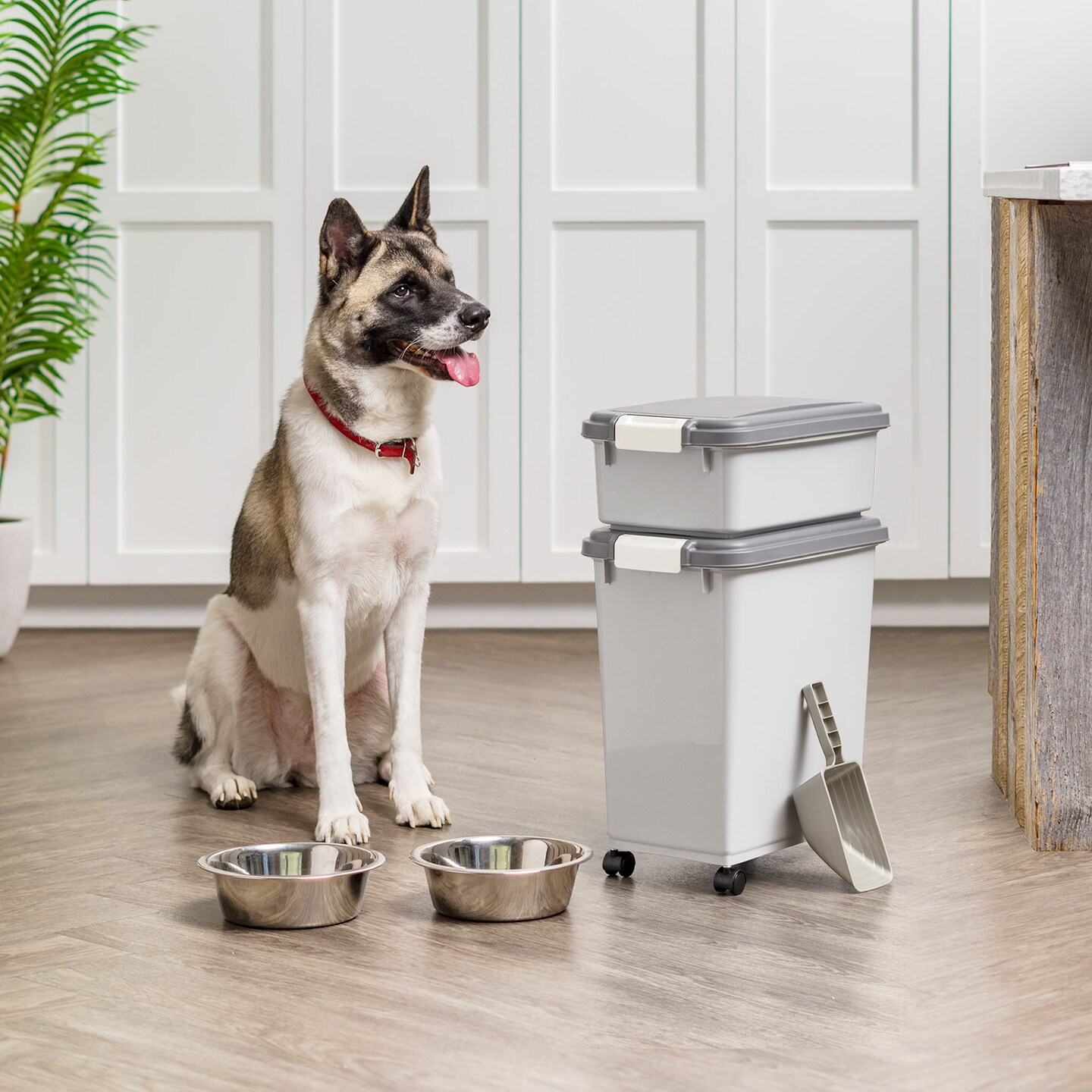 IRIS USA 30lbs+11lbs Airtight Pet Food Storage Container Combo with Scoop and Casters, up to 41lbs