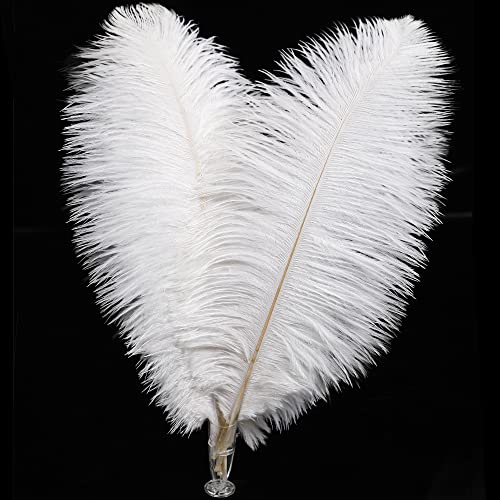 Ostrich Feathers, 1/2 lb - OFF WHITE Mini Spads Ostrich Wholesale Chick Body Feathers (bulk) : store 3544