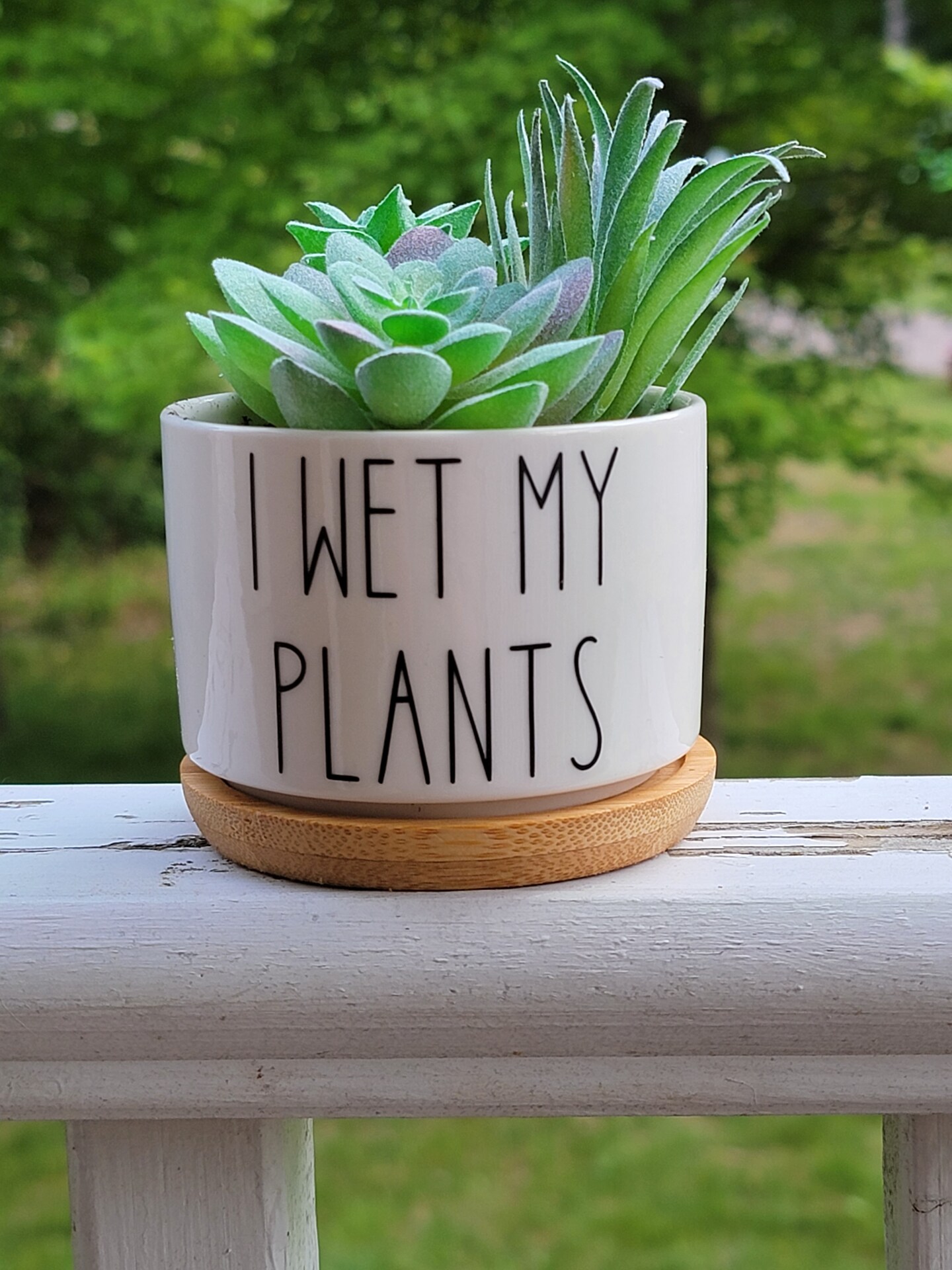 Funny I Wet My Plants Succulent Pot, Punny Planter, Mini 2inch Pot With ...