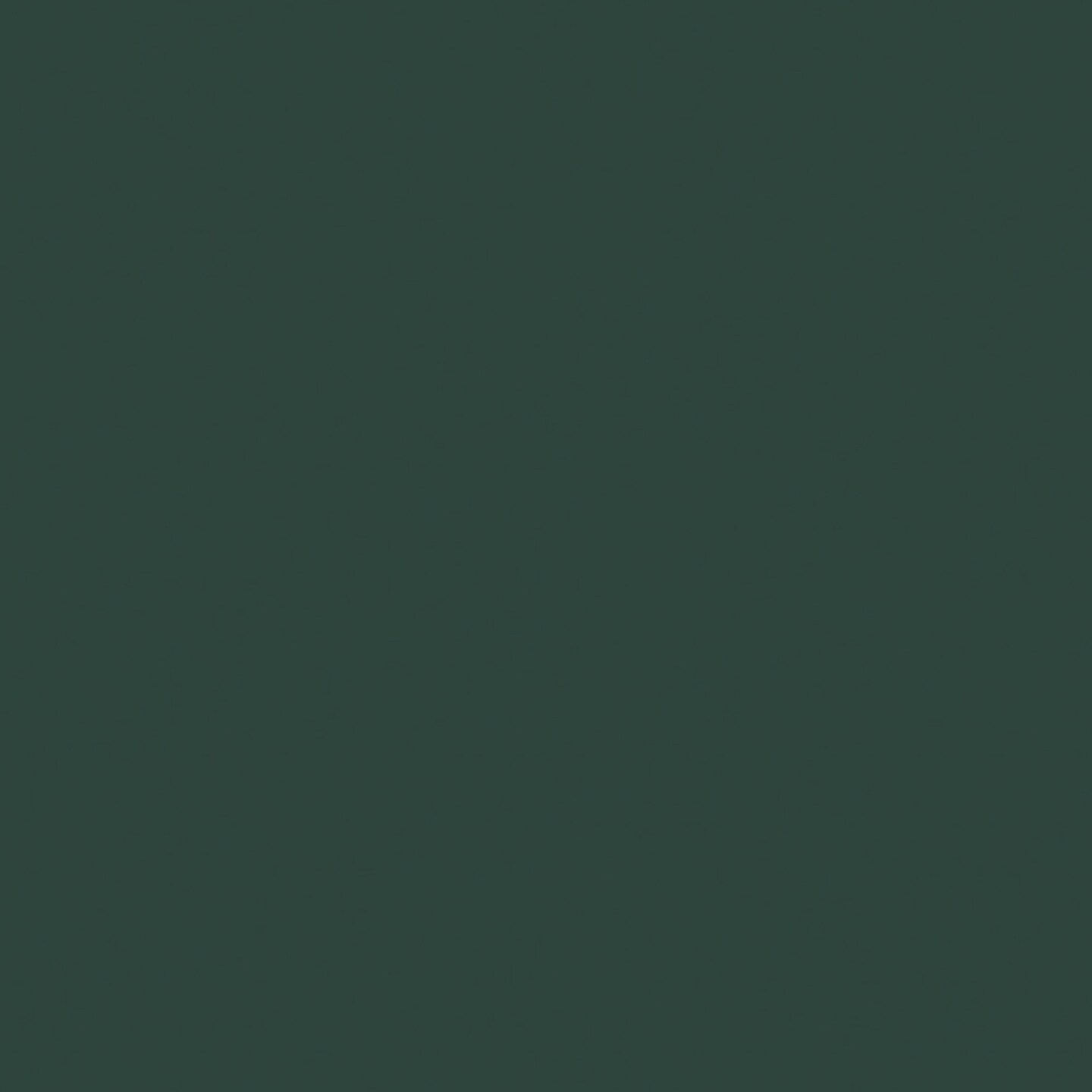 Rust-Oleum Painter&#x27;s Touch Ultra Cover 2X Spray Paint 12oz