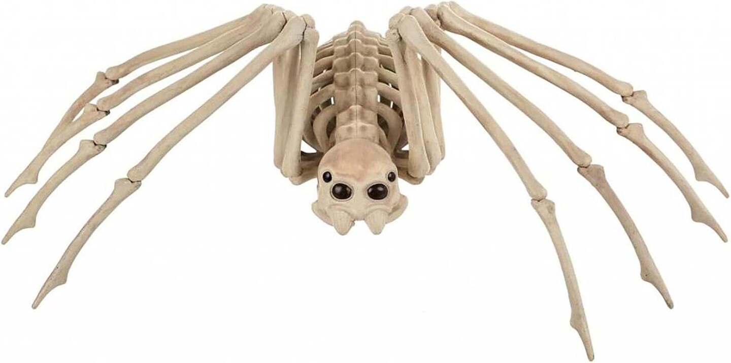 Skeleton Spider