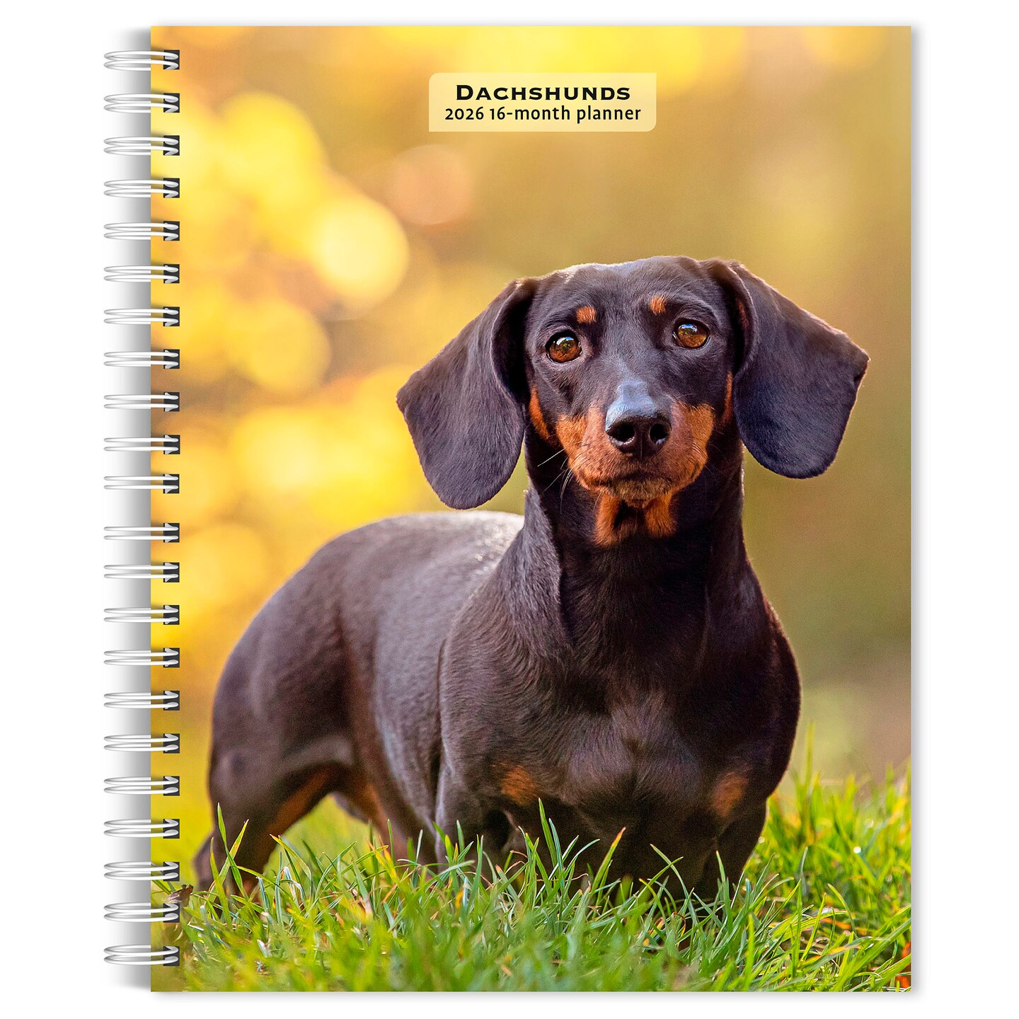 Dachshunds | 2026 6x7.75 Inch Spiral-Bound Wire-O Weekly Engagement Planner Calendar | New Full-Color Image Every Week
