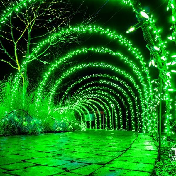 500 LED Outdoor St Patrick Day Lights, 164FT 8 Lighting Mode with Memory Plug in Green Wire Waterproof Lights, for Outdoor Birthday Christmas Wedding Party Garden Balcony Decorations (Green)