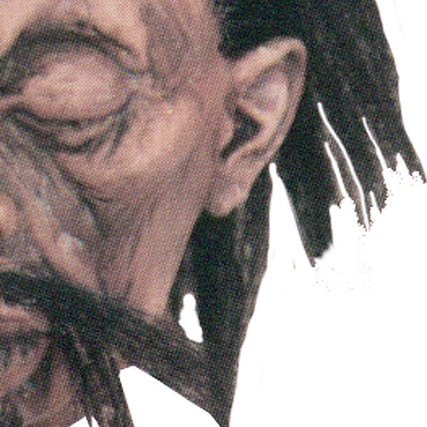 Shrunken Head Prop Halloween Decoration