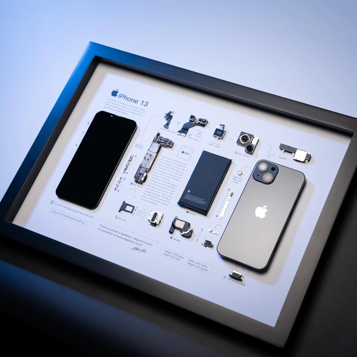 Framed iPhone 2G Disassembled Phone Teardown iphone Wall Art
