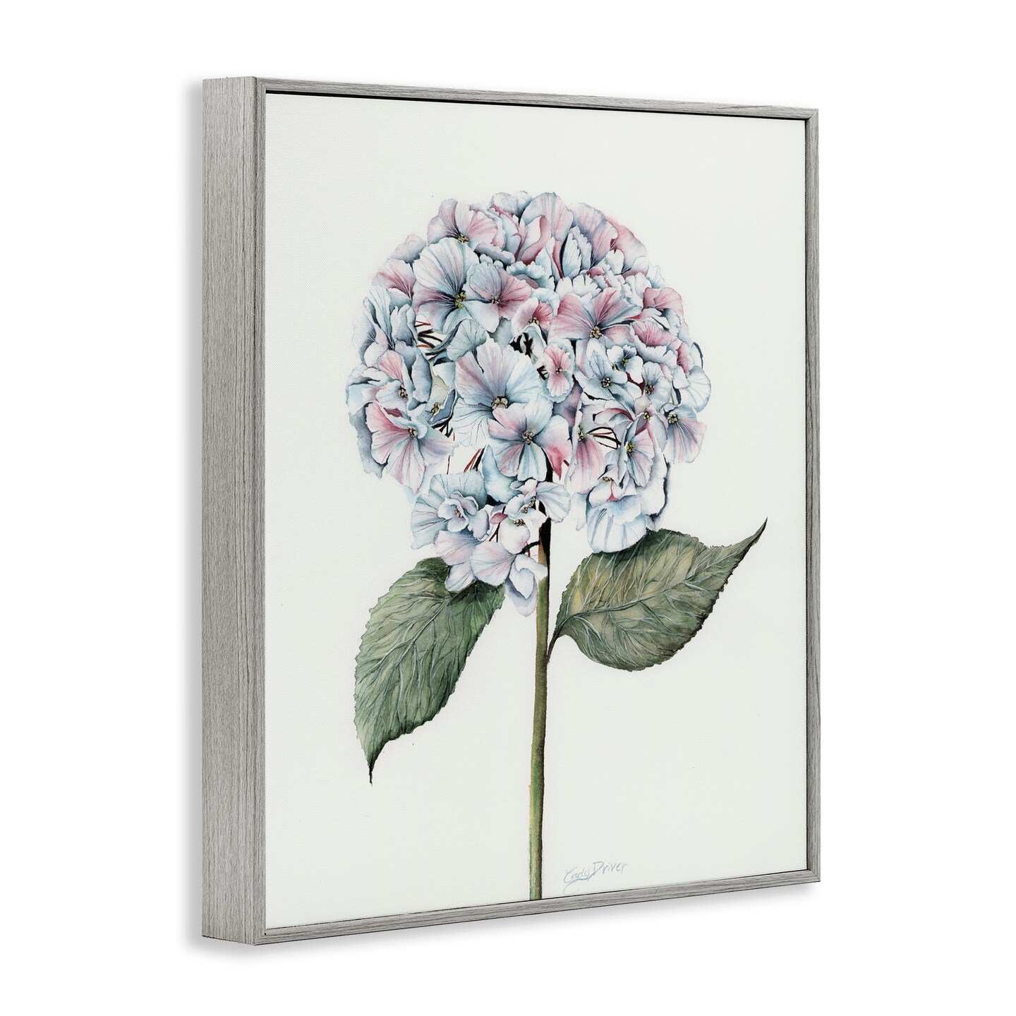 Stupell Industries Round Hydrangea Bulb Framed Giclee, design by Cady Driver