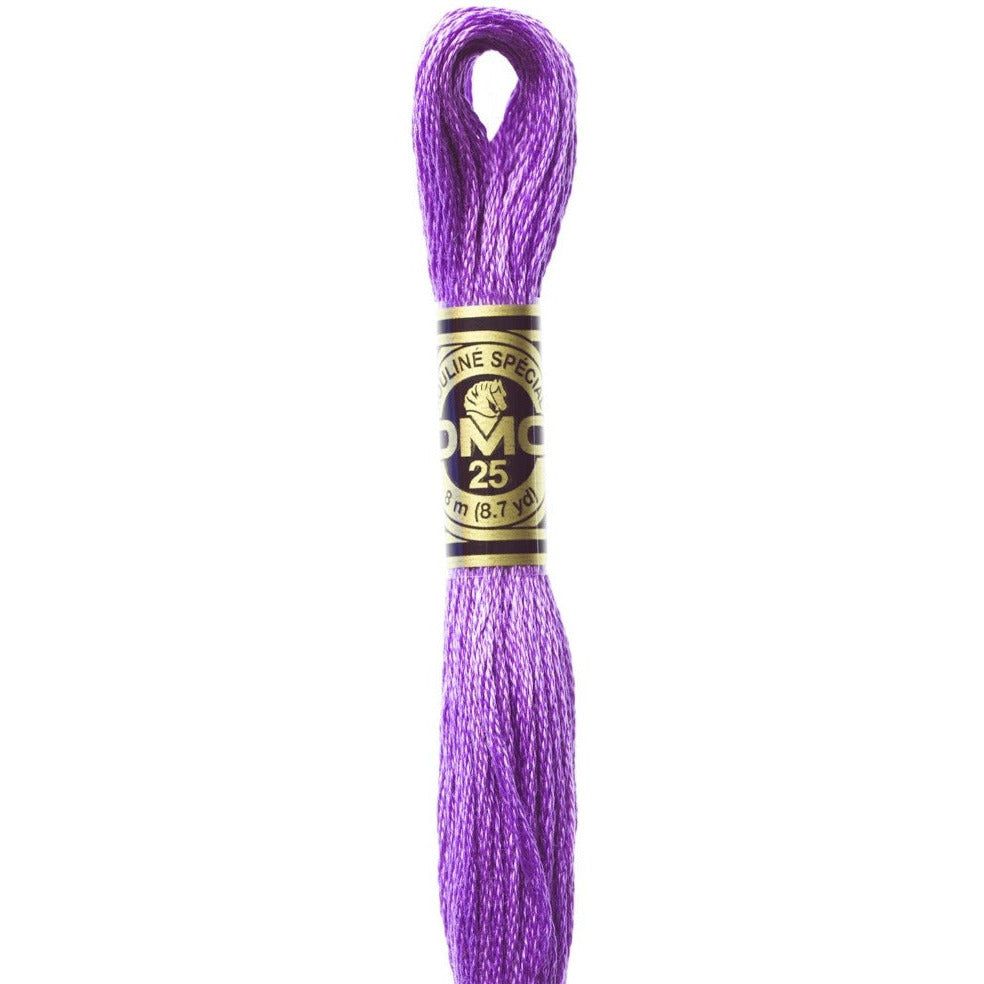 DMC Embroidery Floss, 6-Strand - Lavender Very Dark #208