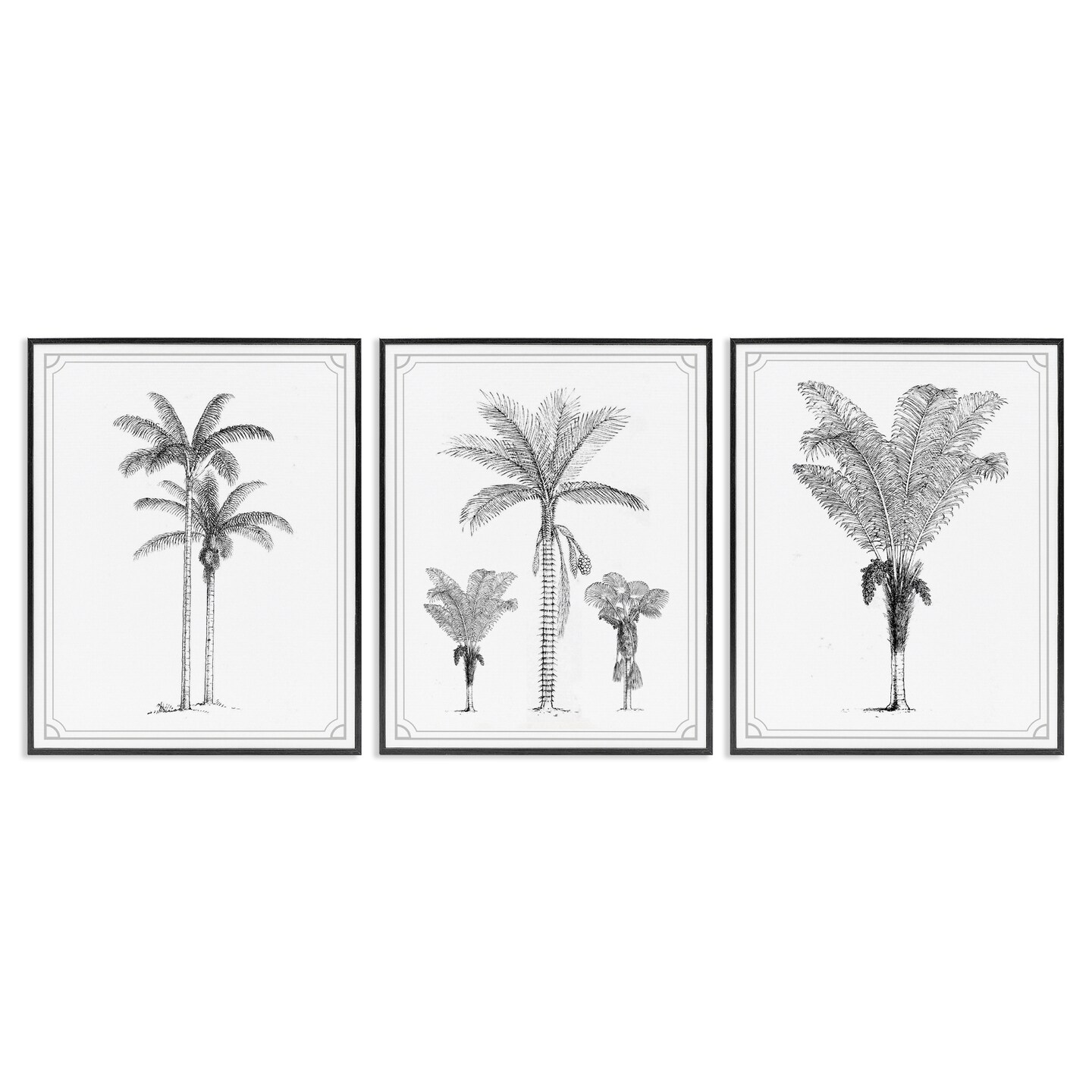 Stupell Industries Minimal Vintage Palm Tree Sketches 3pc Framed Giclee Set, design by Lettered and Lined