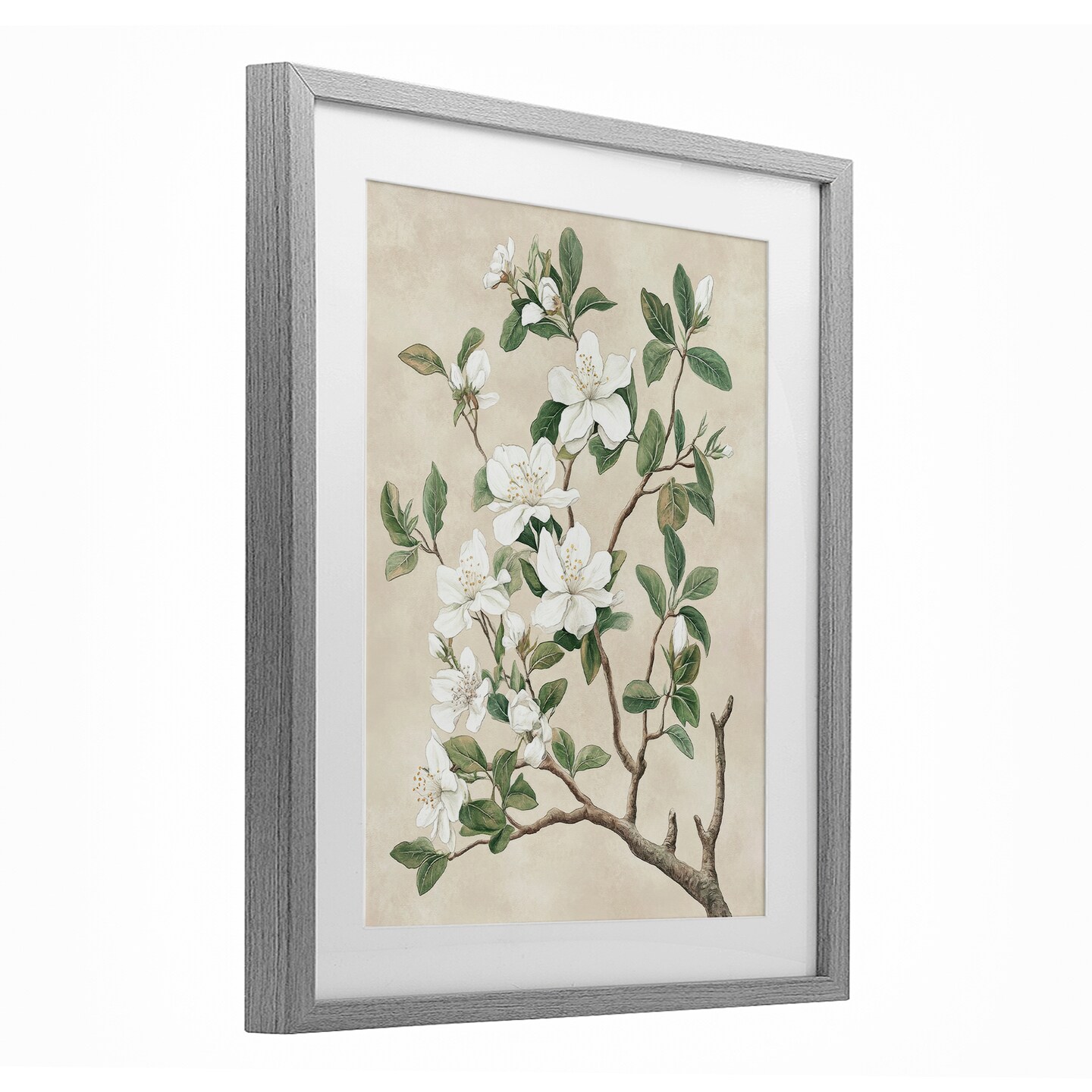 Stupell Industries Vintage White Blossomed Tree Framed Print Under Glass, design by Petal Prints Design