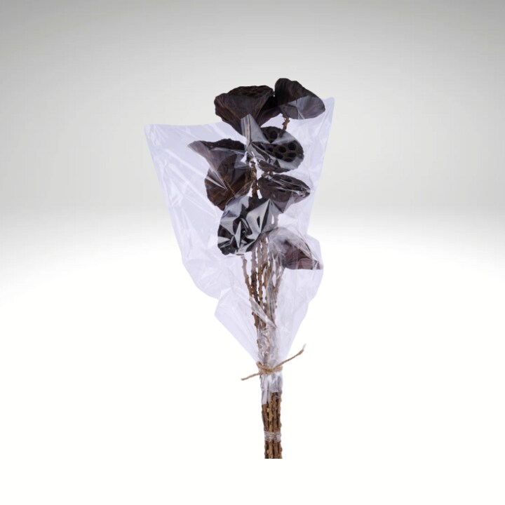 Natural Dried Lotus Pod Stems | 23.5" Craft Supply Bundle for Rustic Floral Arrangements-TT3068