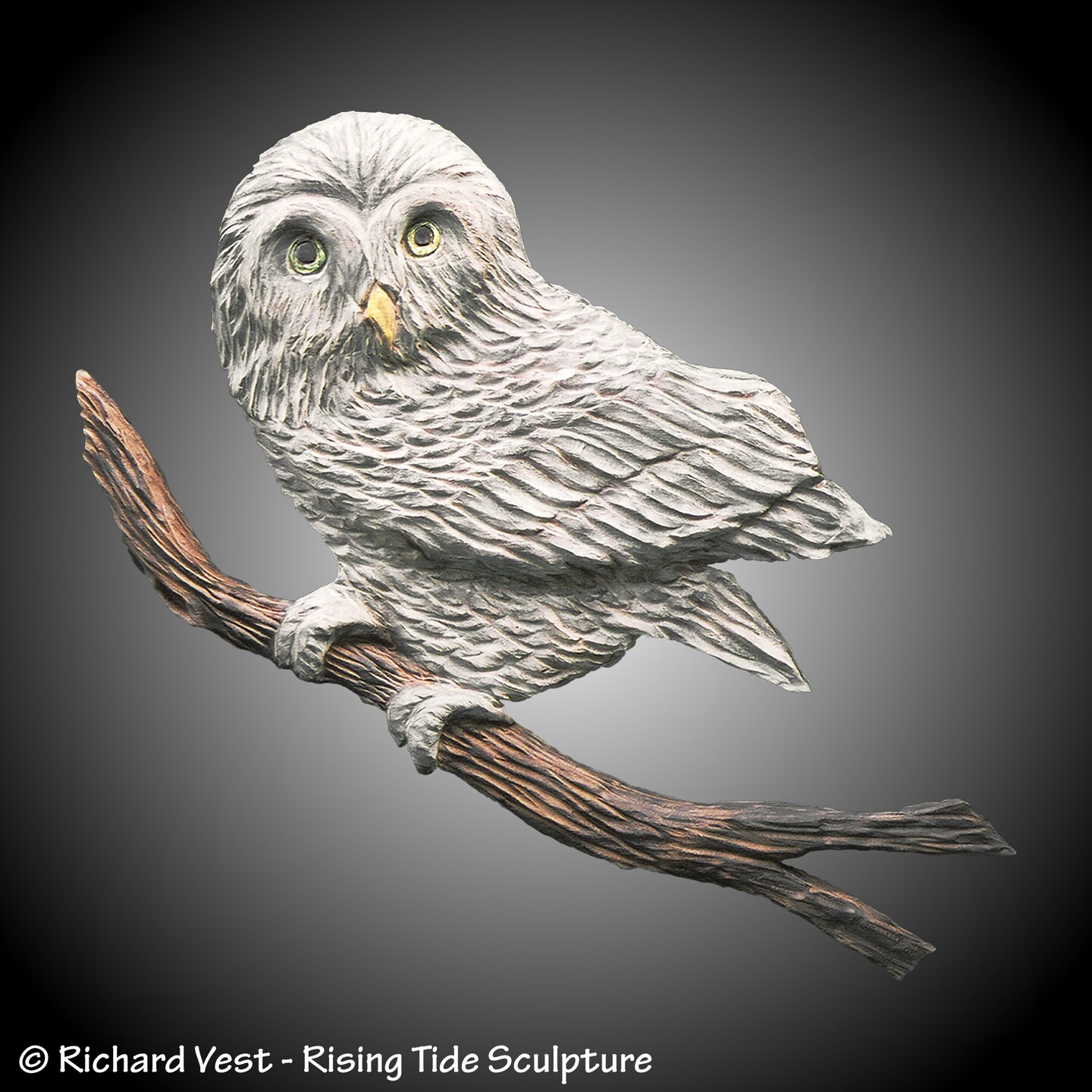 Boreal Owl Wood Wall Sculpture