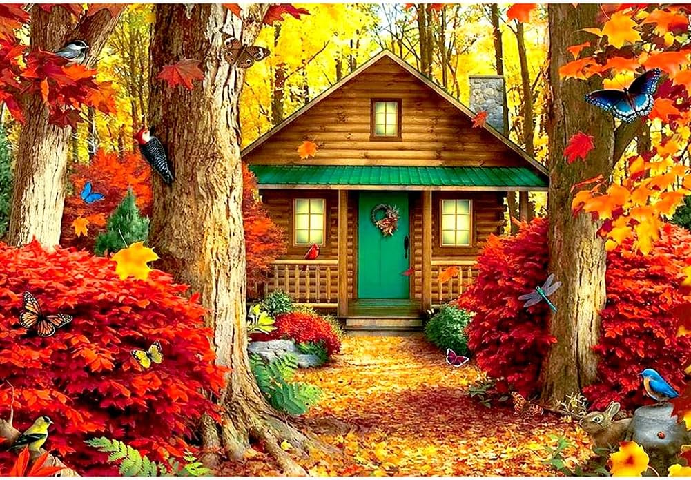 Diamond Painting Kits for Adults