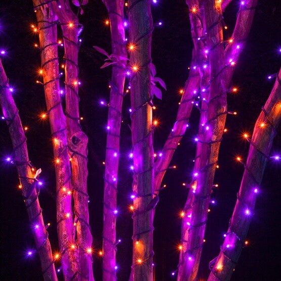 70 5mm Purple, Orange LED Halloween Lights, 4&#x22; Spacing, Black Wire