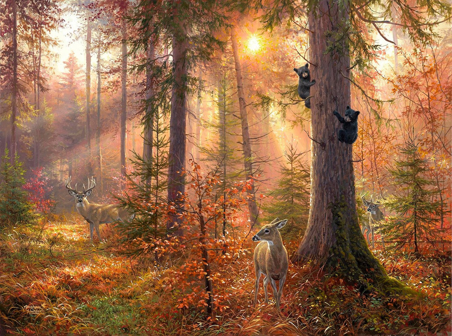Sunsout Forest Light 300 pc   Jigsaw Puzzle 69404