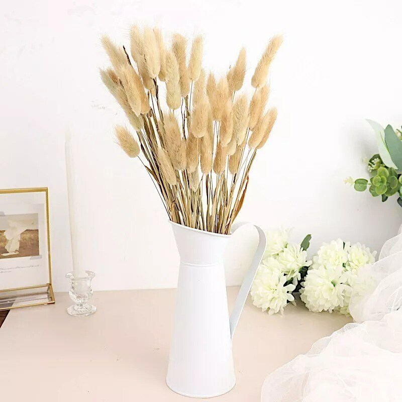 50 STEMS 15 in Rabbit Tail Dried Pampas Grass Party Events Decorations Supplies