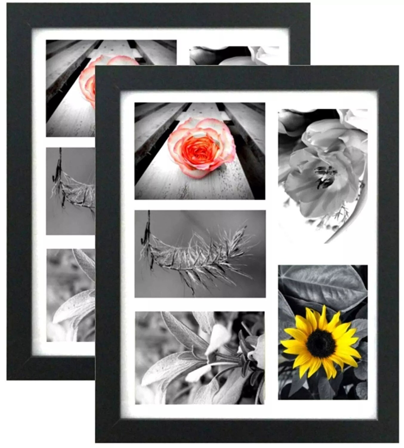 Tasse Verre 11x14&#x22; Collage Picture Frames - (2-Pack) Fits Five 4x6&#x22; Photos Glass